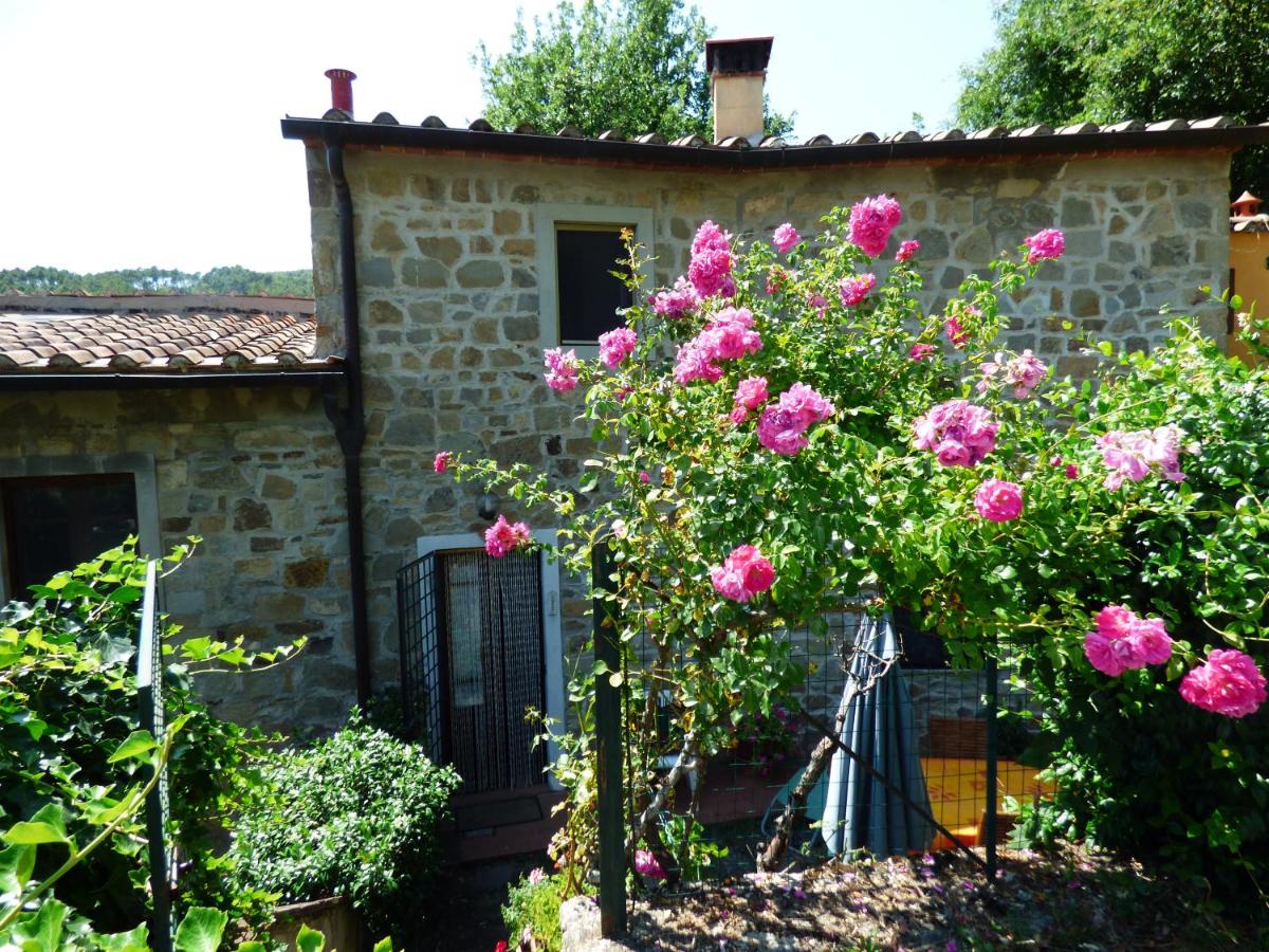 L'ortensia view 5