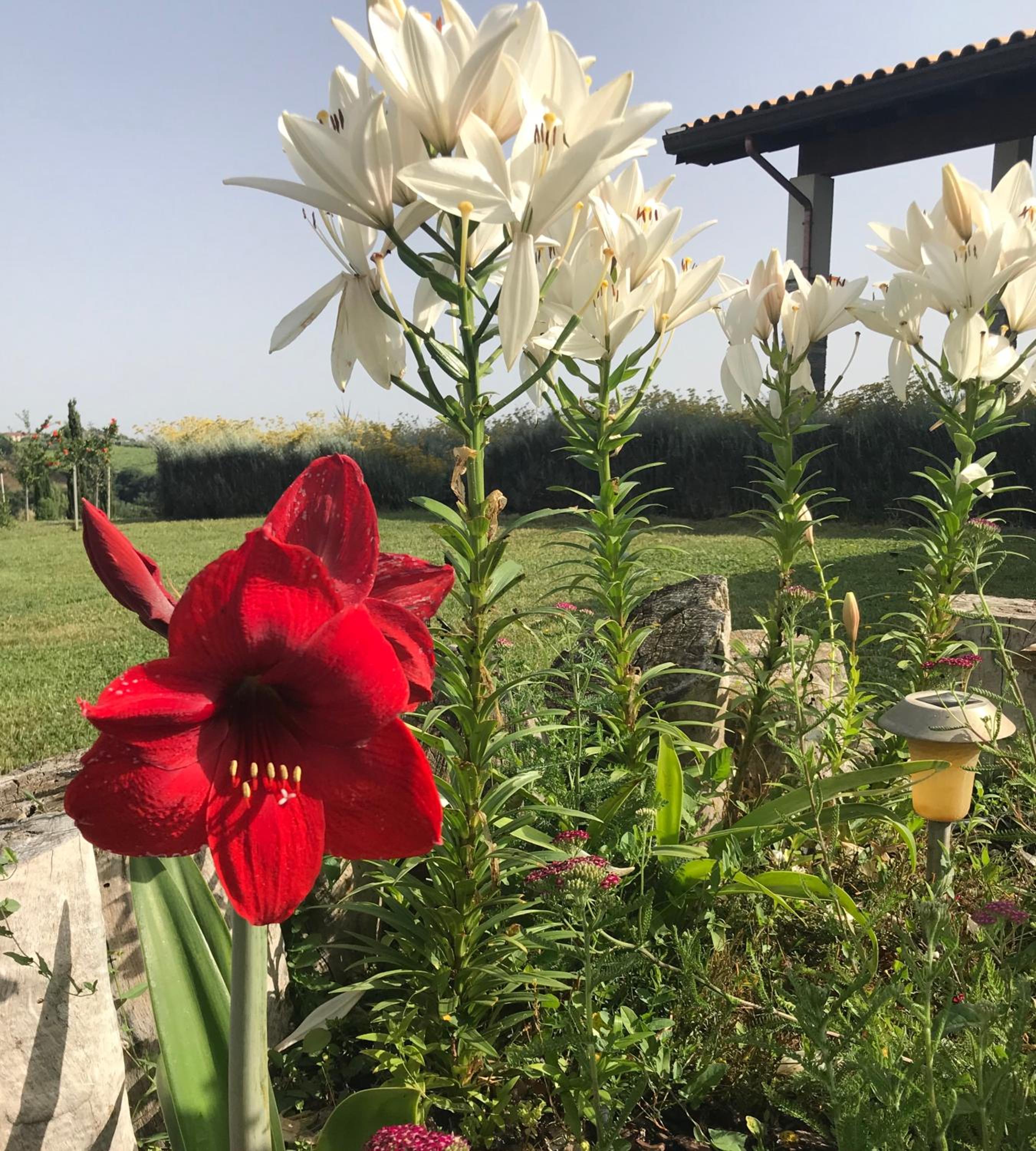 La collina delle fonti