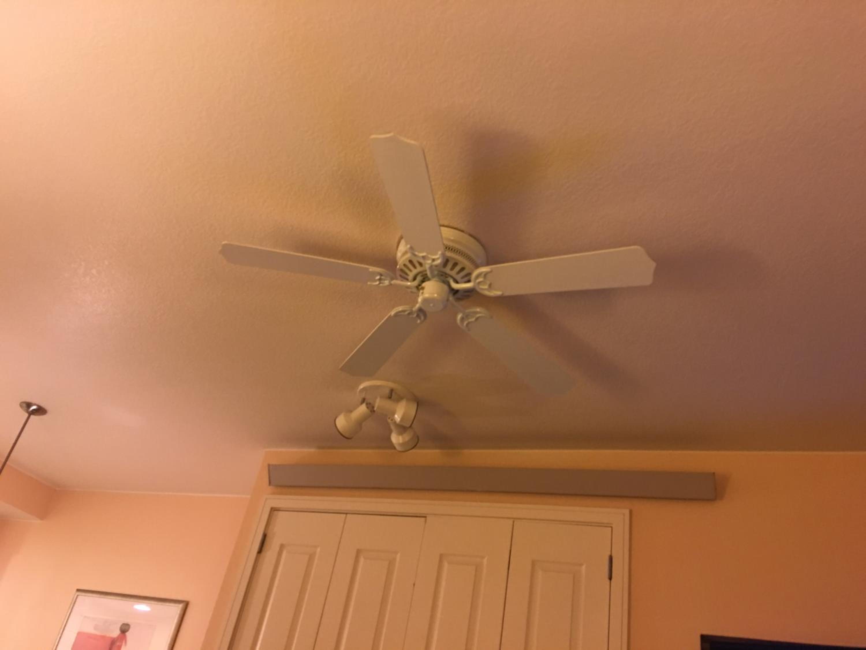 Photo 36