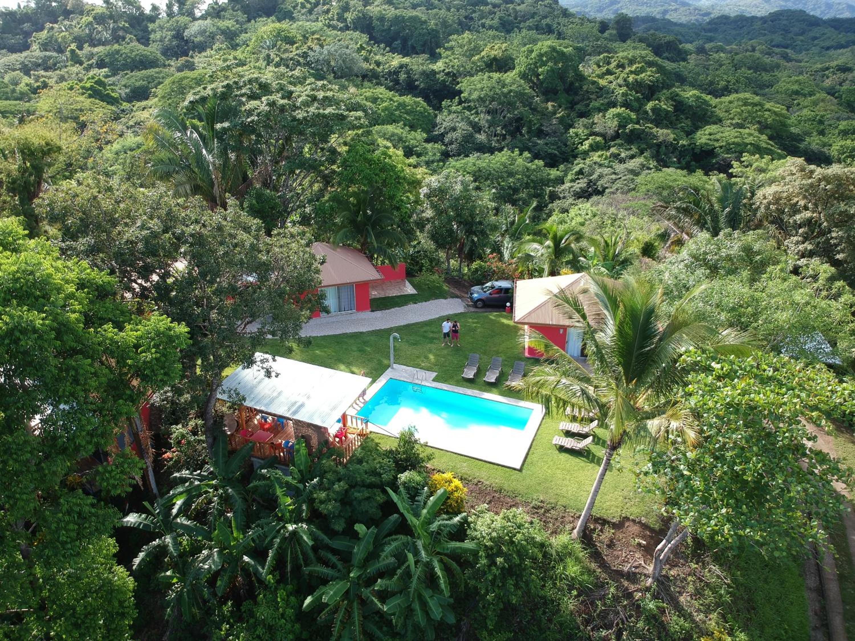 El nido rojo
