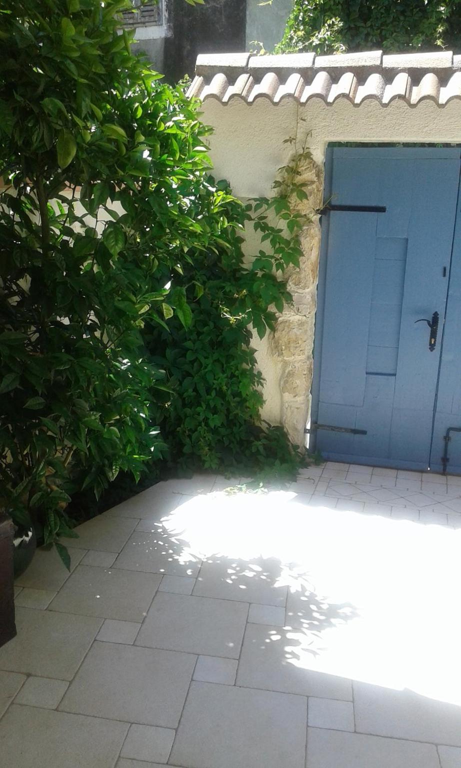 Photo 19