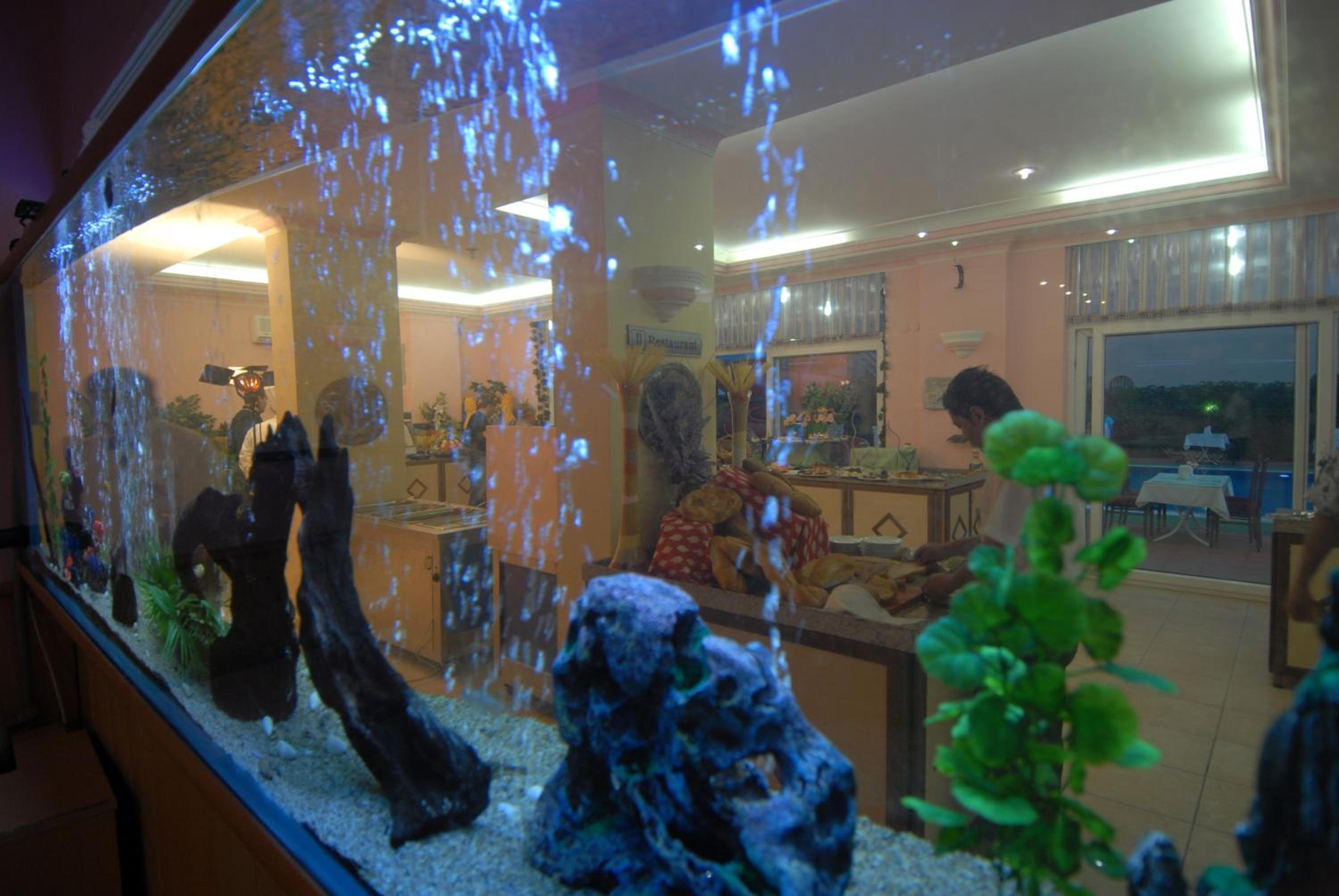 Alanya Risus Park Hotel - Image 12