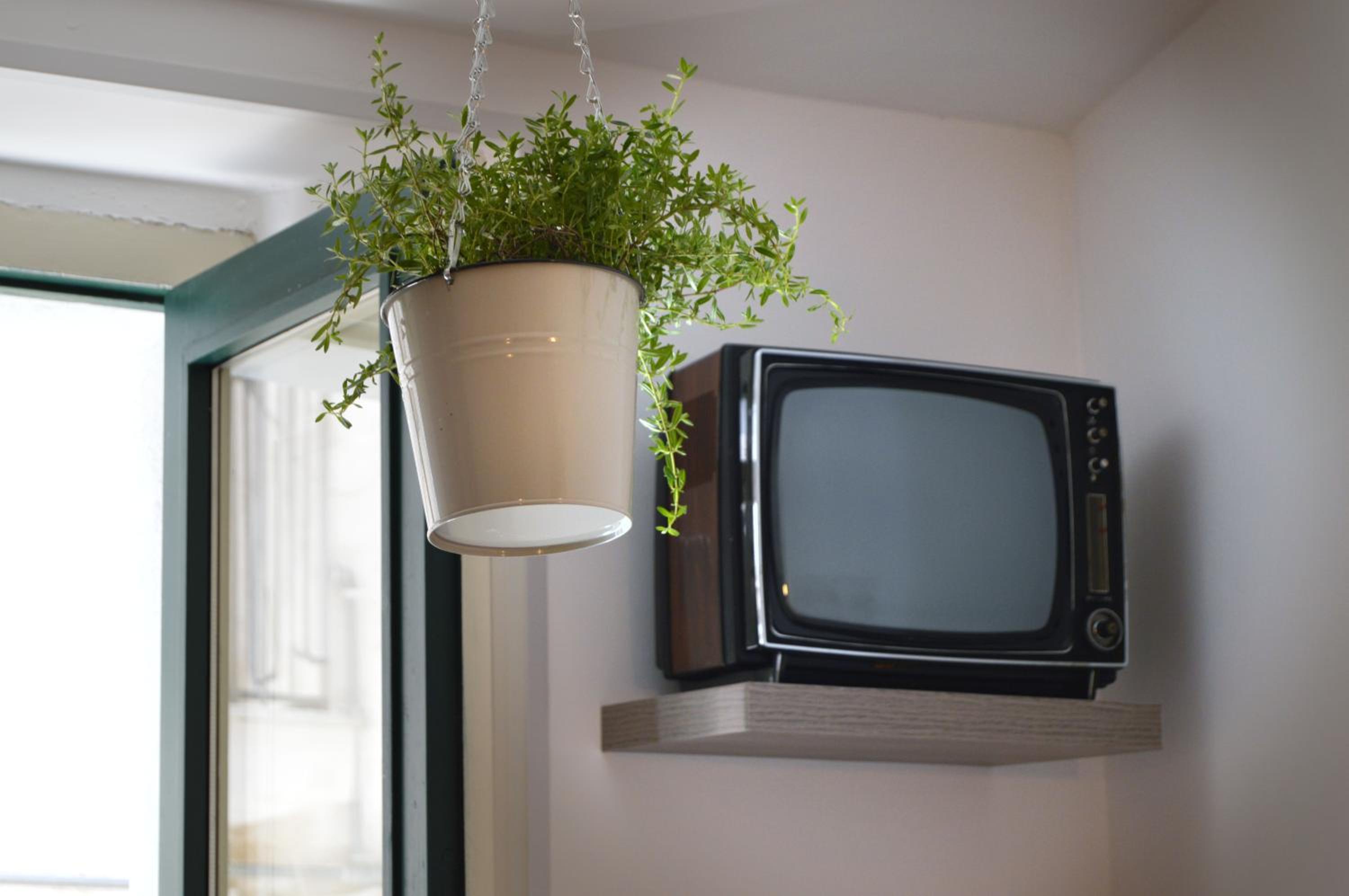 B&B Il Lentisco
