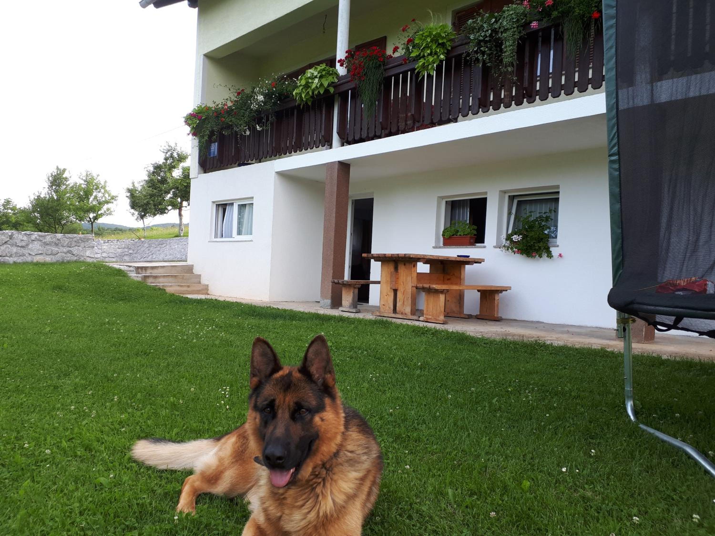 House Josipa view 3