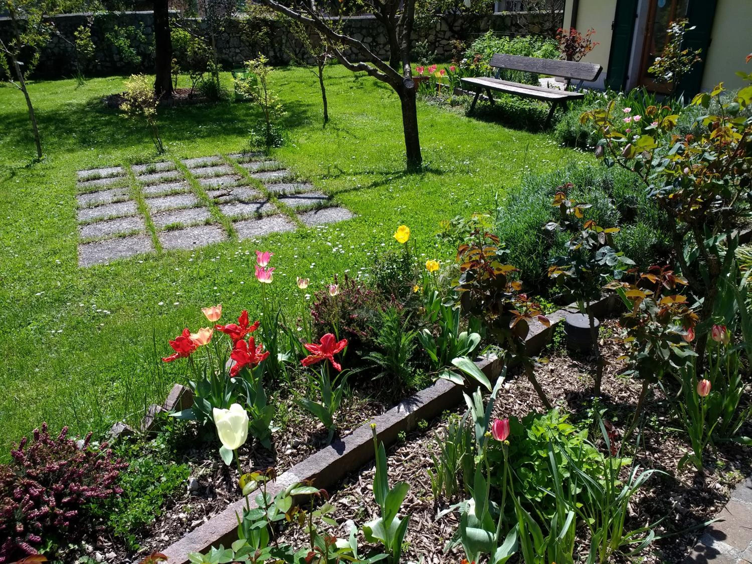 Photo 16