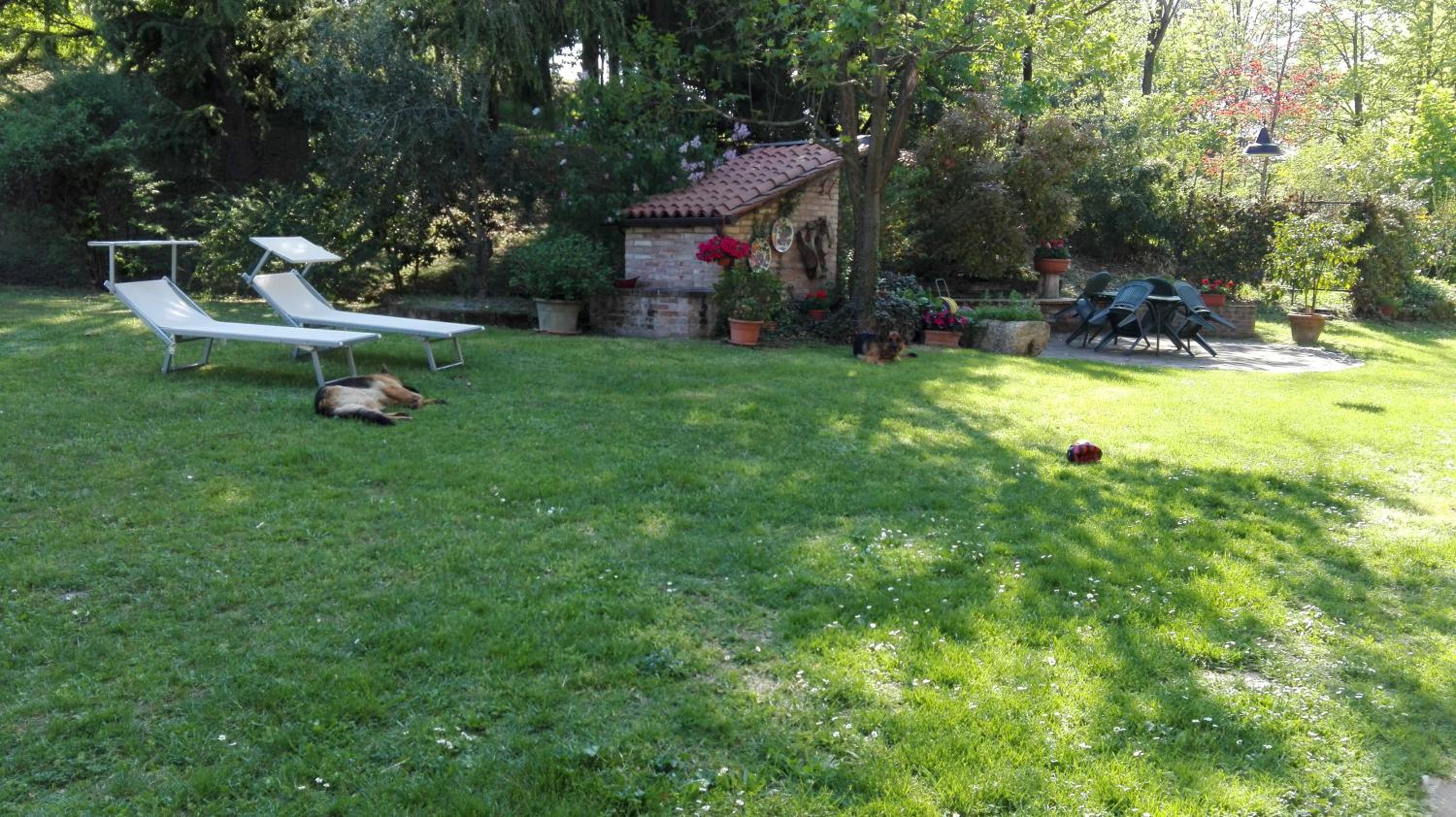 Photo 12