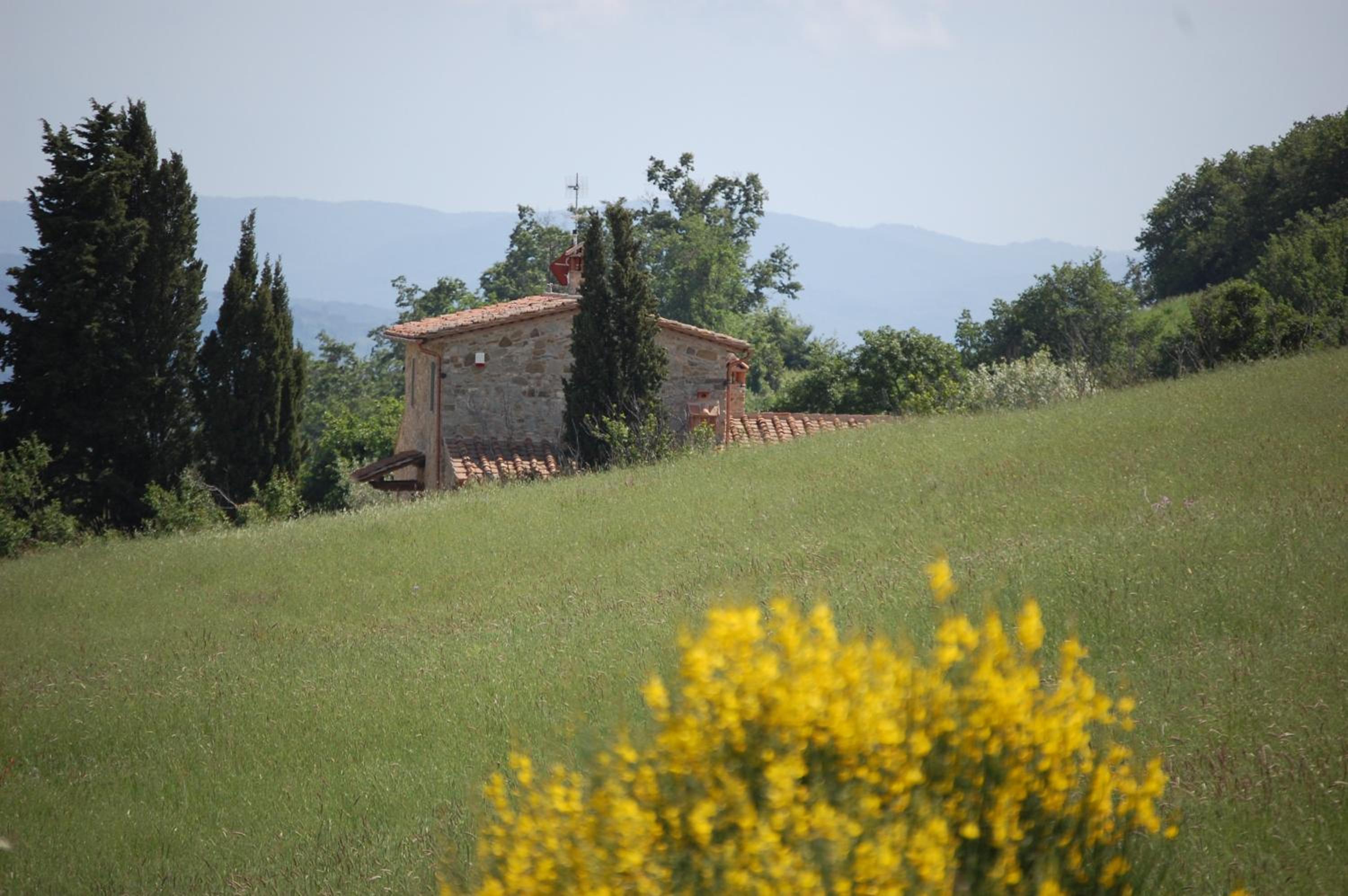 Il Podere Bellavista view 5