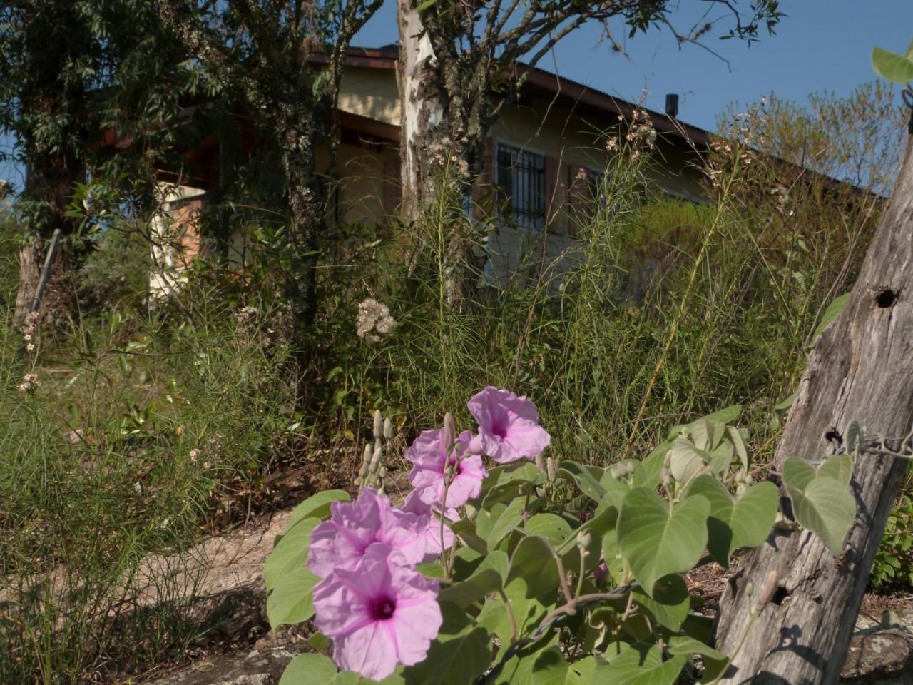 El Pinar - Hospedaje Serrano