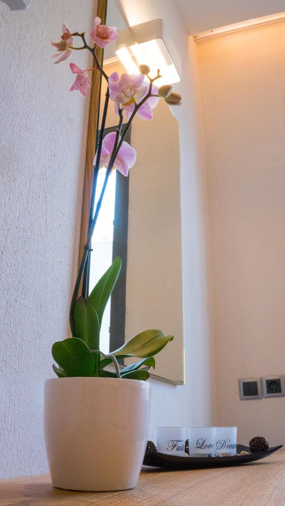 Costa Domus Blue Luxury Apartments