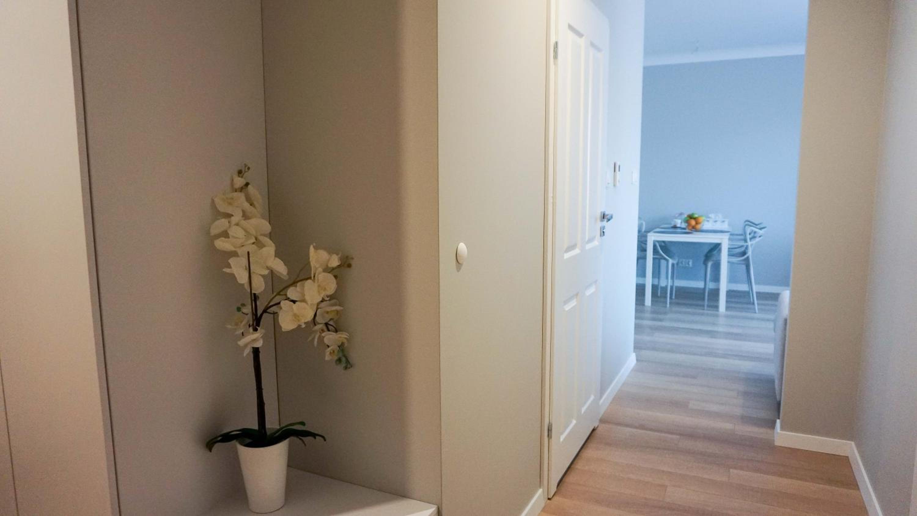 Apartament Olimp, photo 4