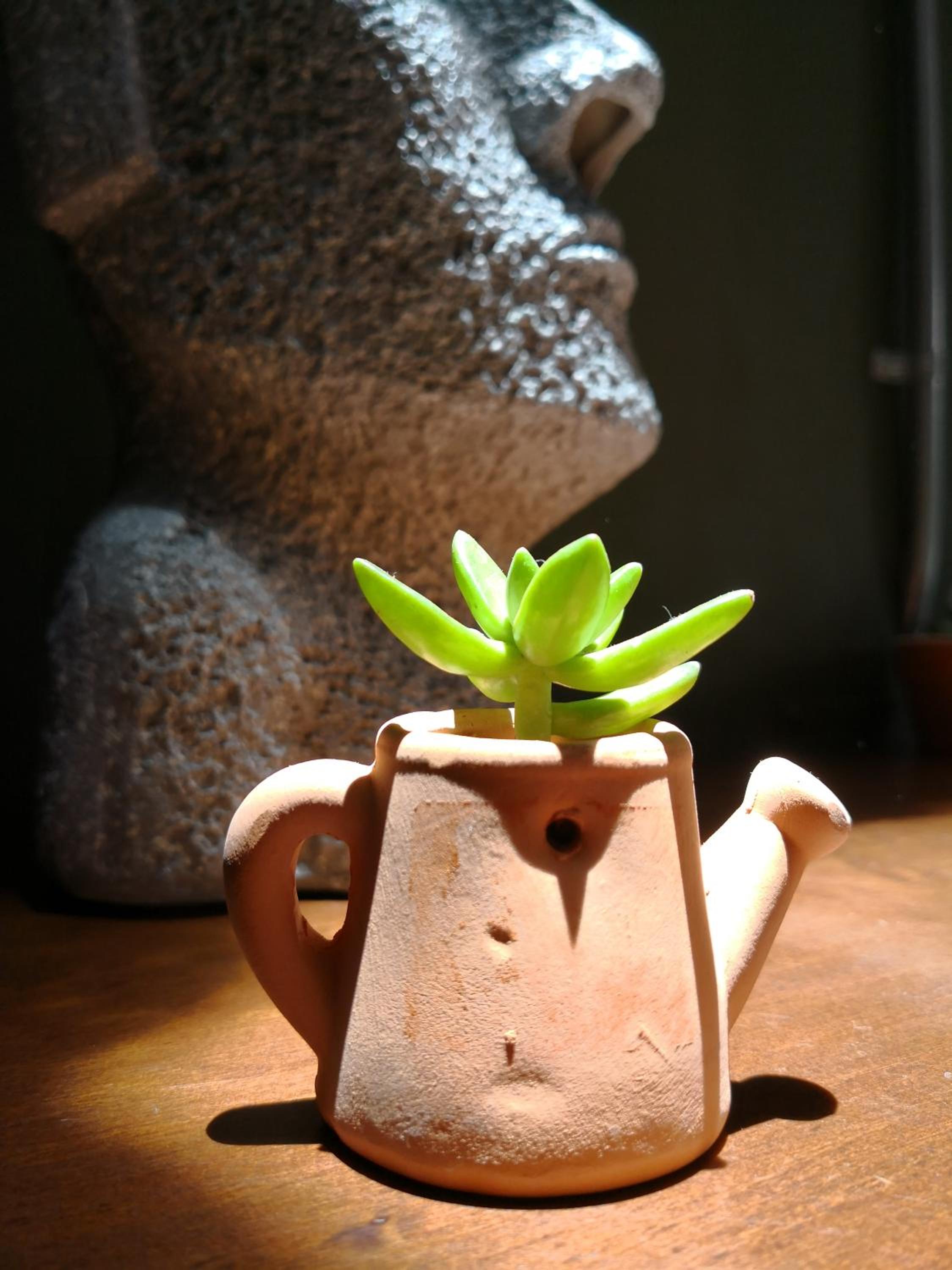 Photo 40