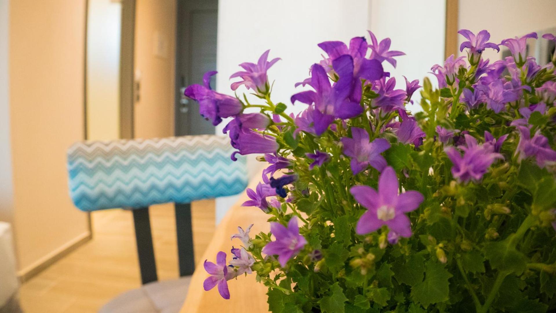 Costa Domus Blue Luxury Apartments
