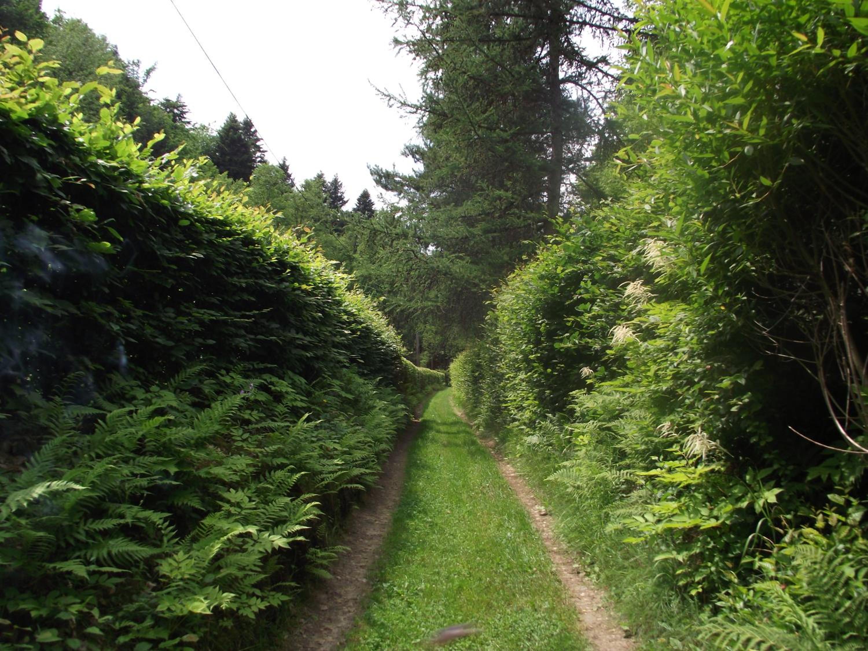 Photo 49