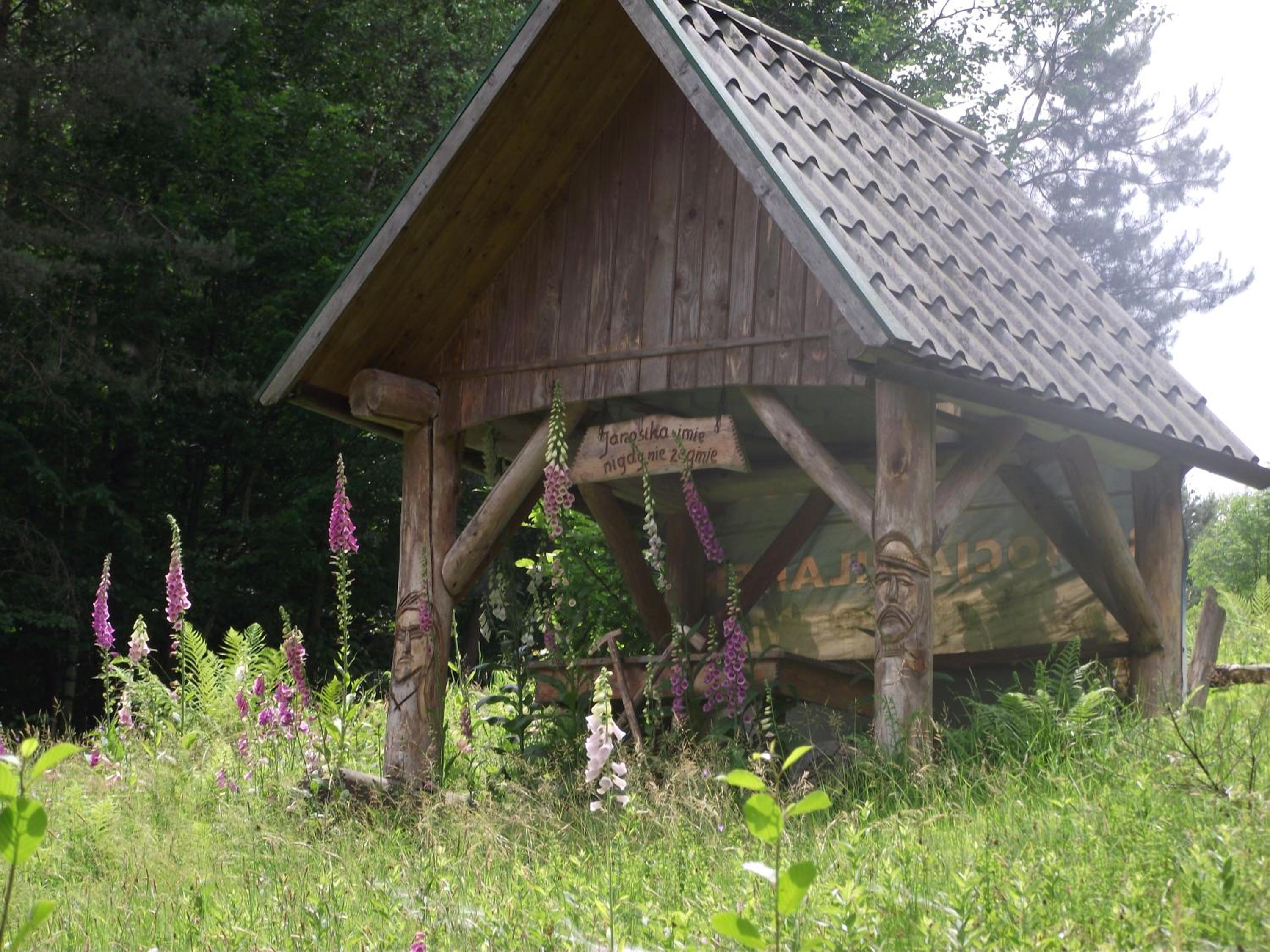 Photo 48