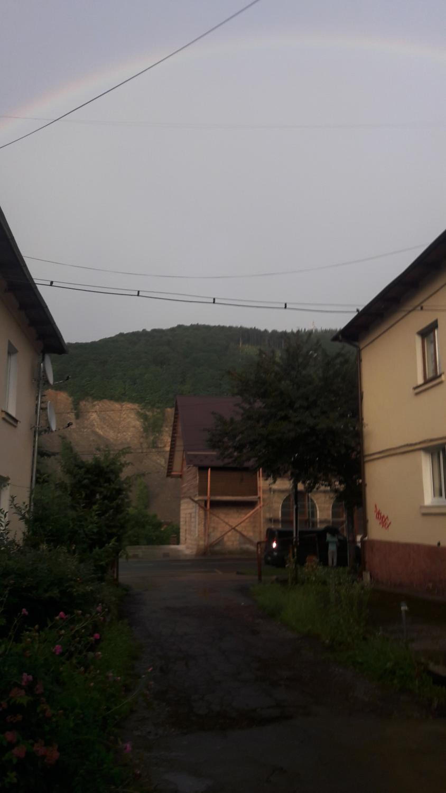 Photo 61
