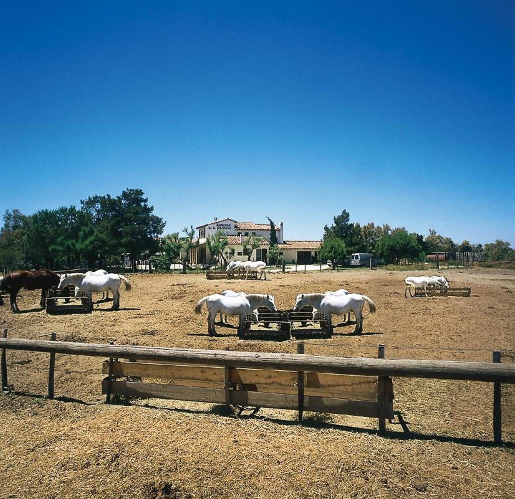 Auberge de la Fadaise - Property Image 1