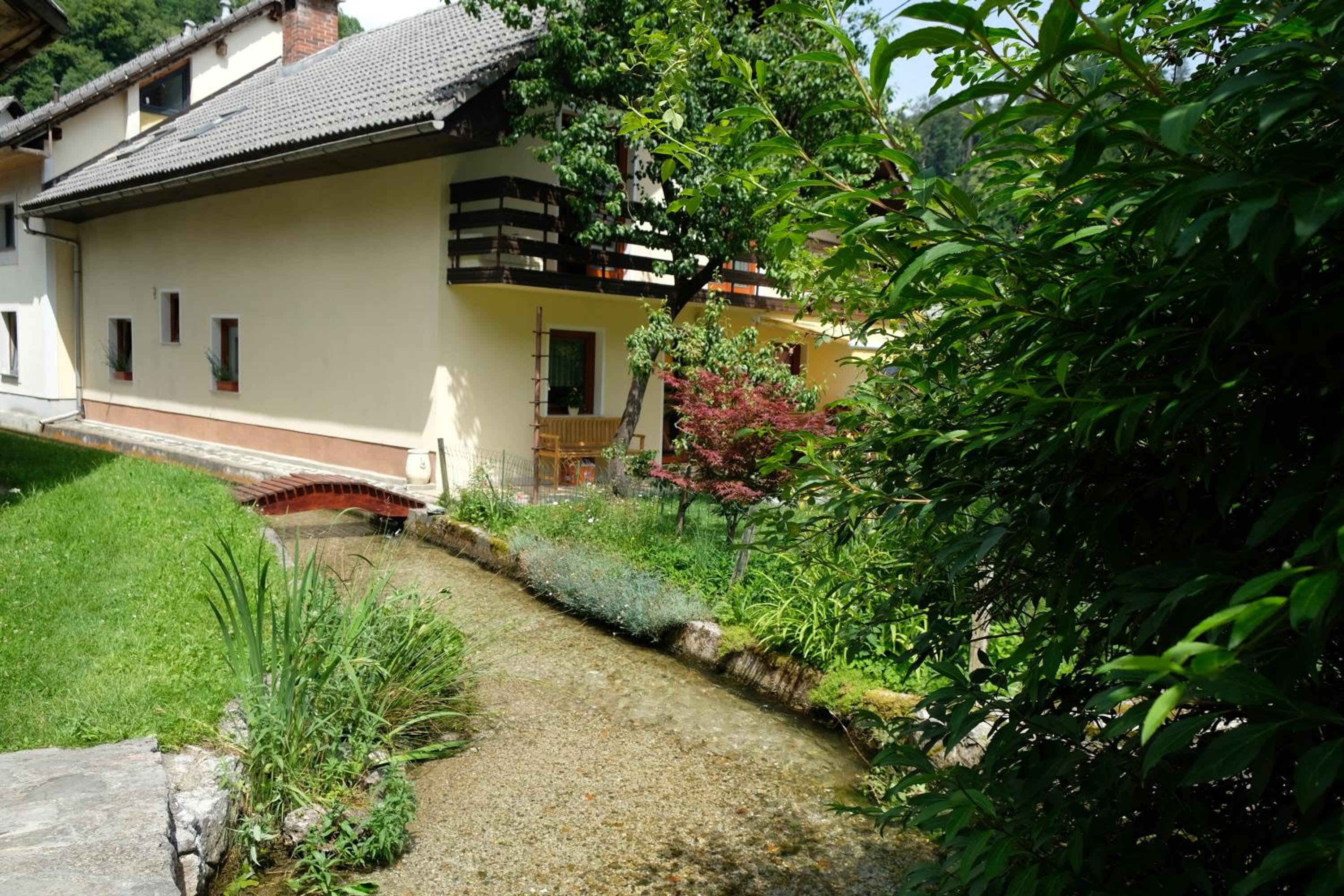 Photo 21