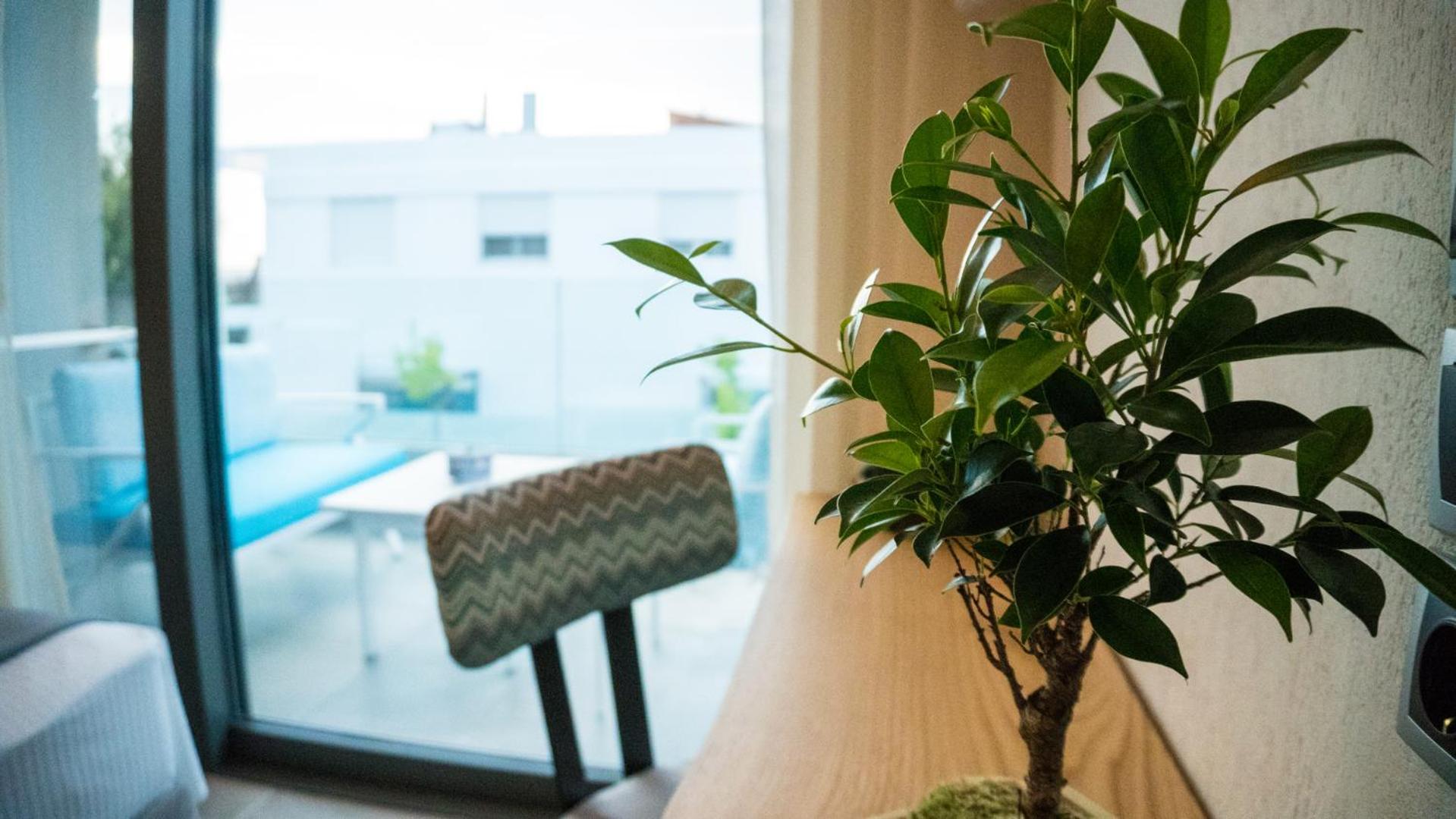 Costa Domus Blue Luxury Apartments