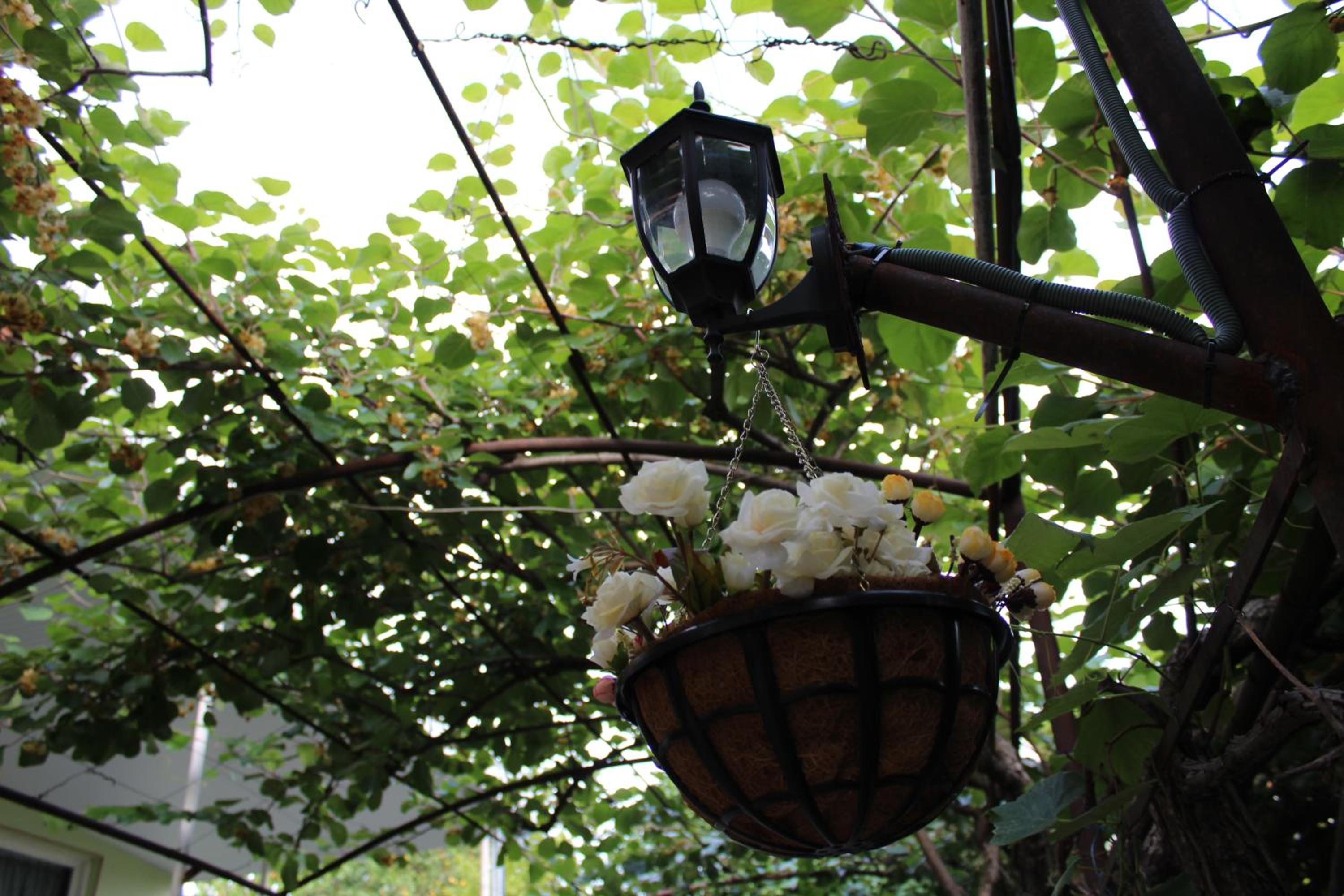 La Deka GuestHouse