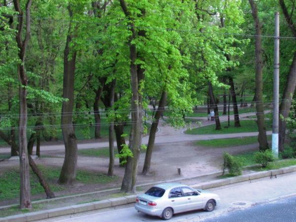 Photo 24