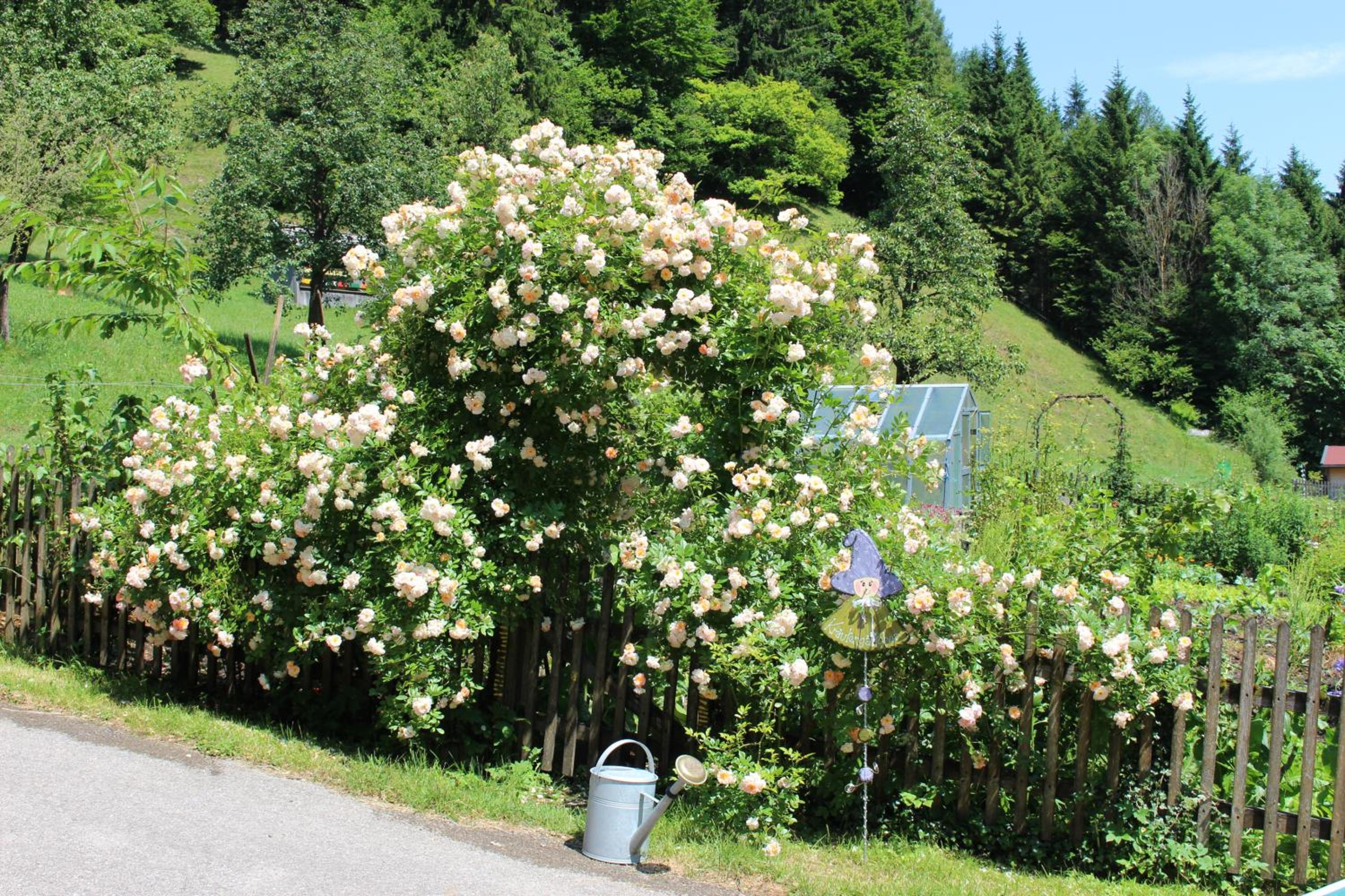 Urlaub mitten im Wald - Lueg view 2