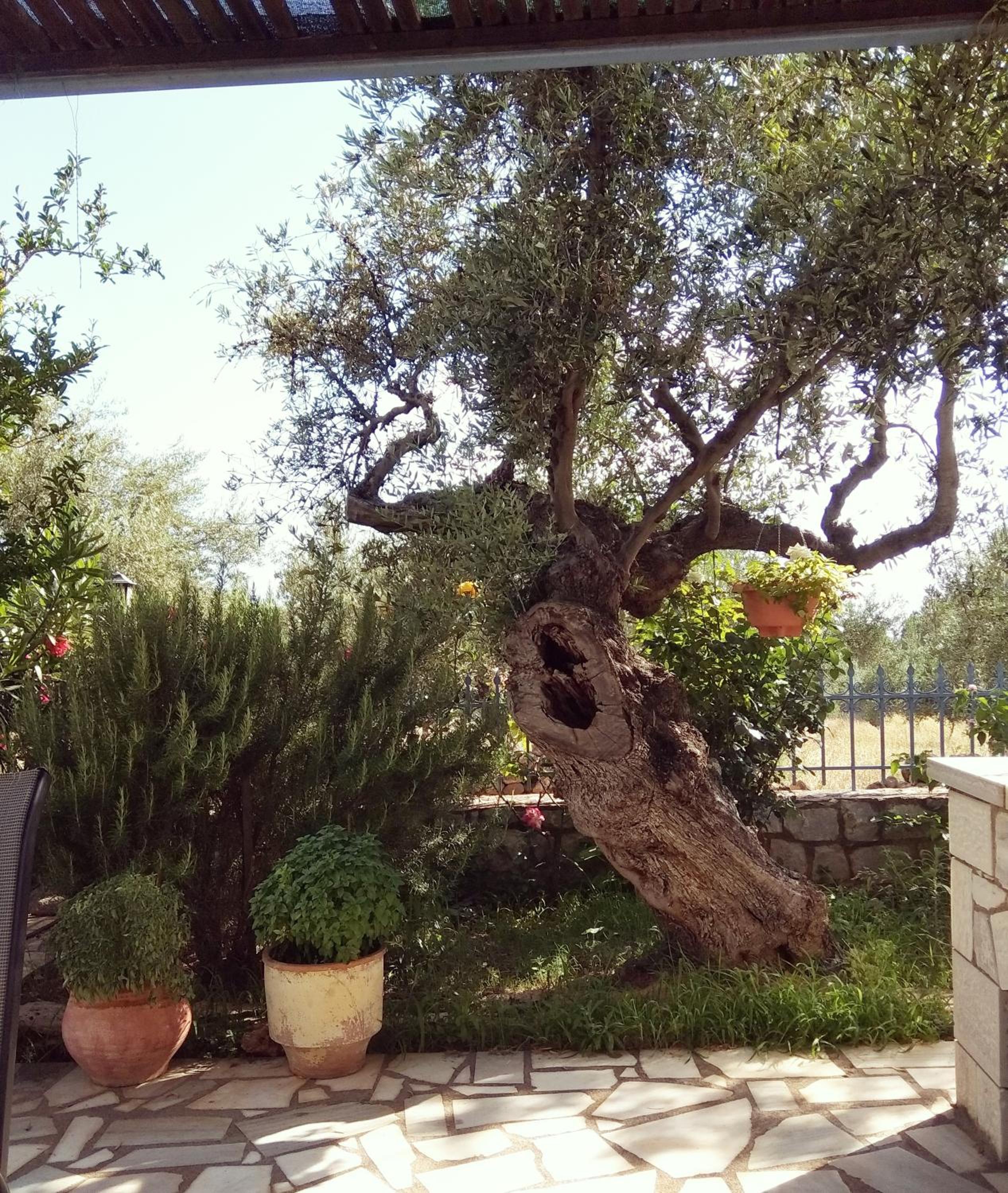 Photo 22