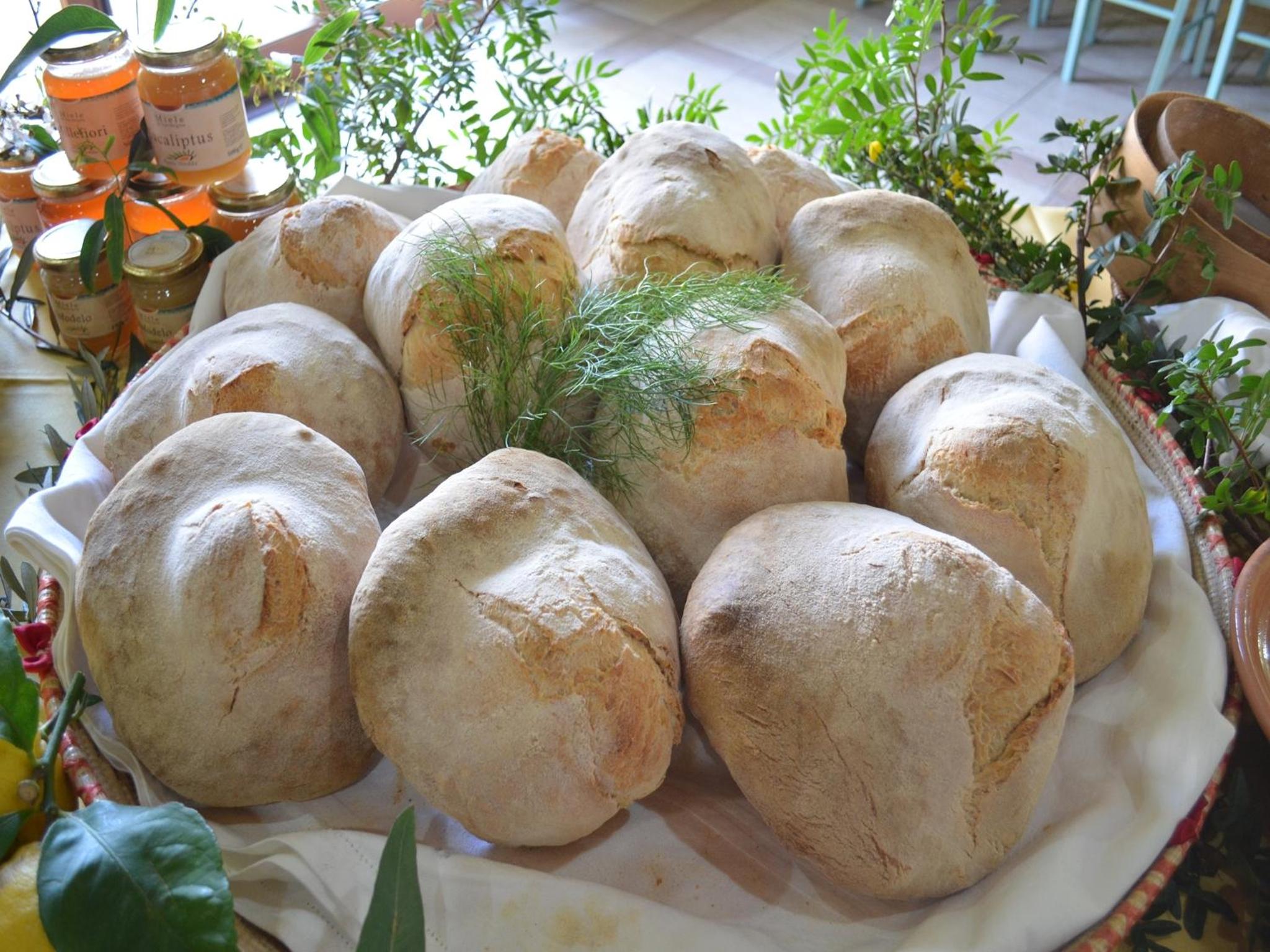 Agriturismo Agrifoglio