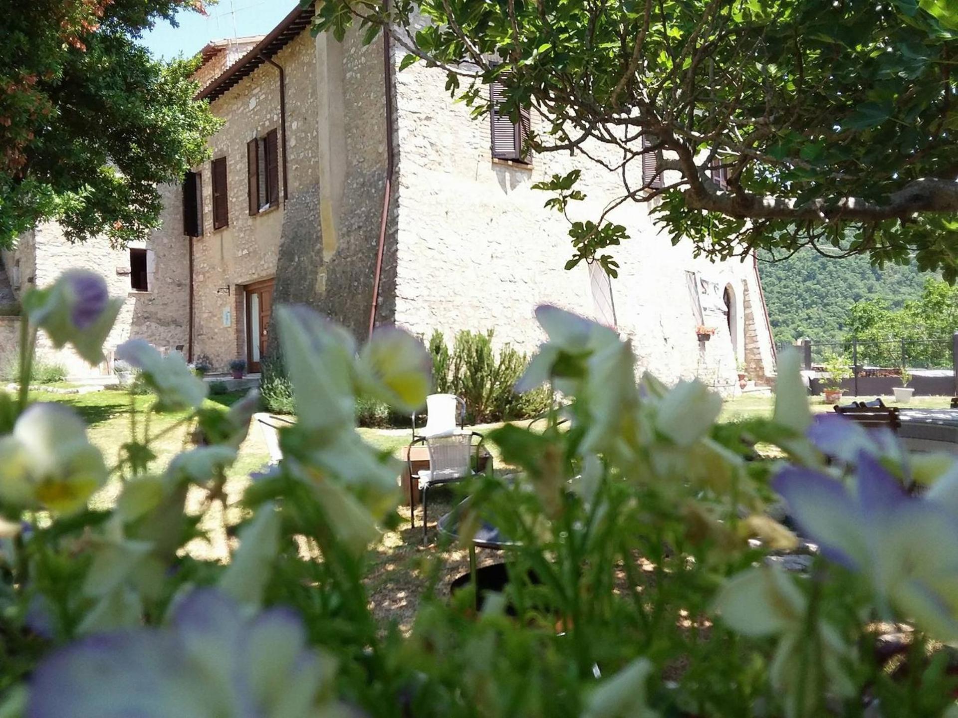 Agriturismo campagna in compagnia
