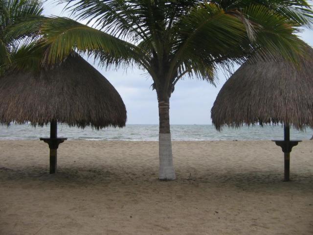 Hostal Roldan view 4