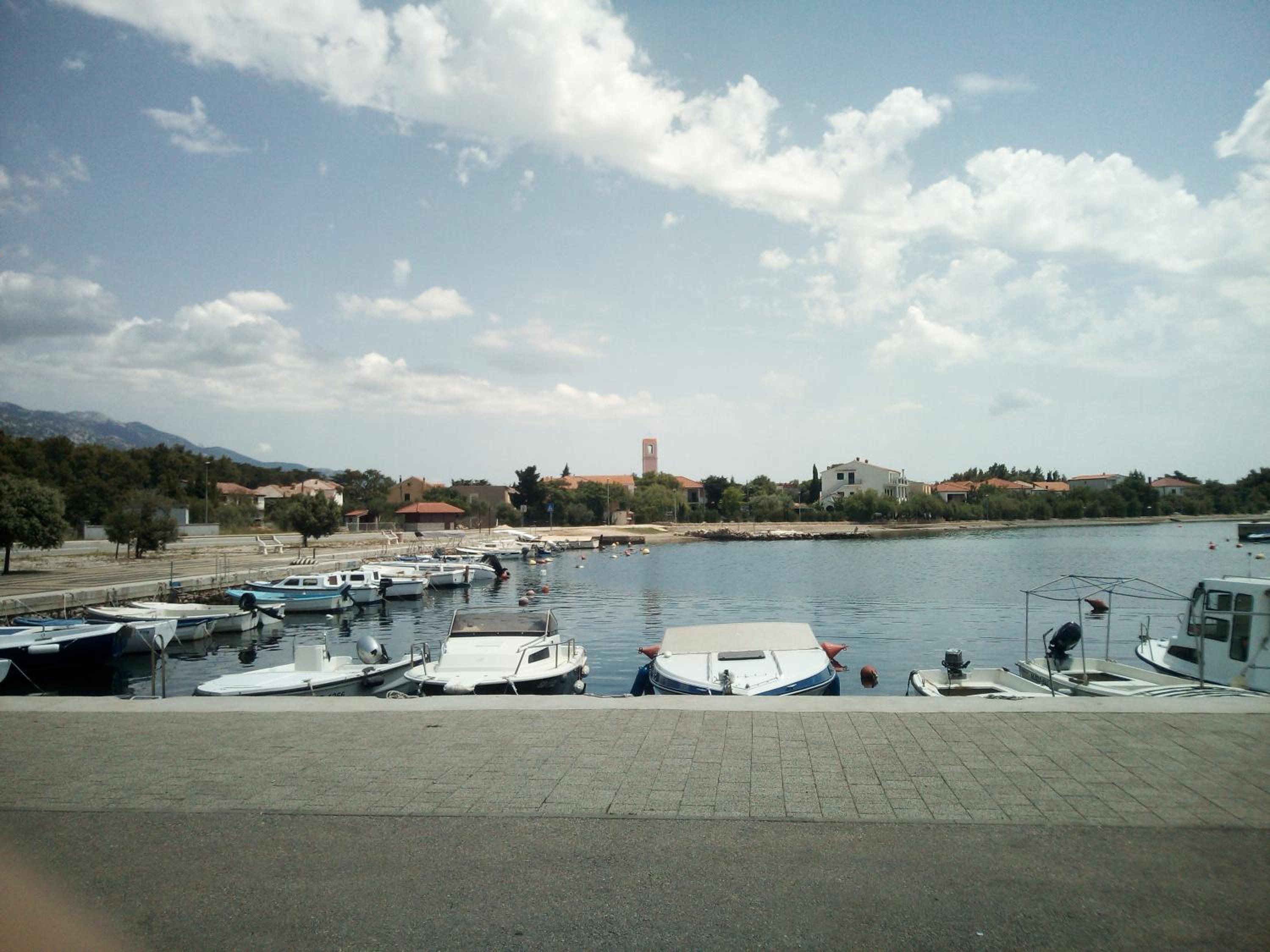 Photo 51