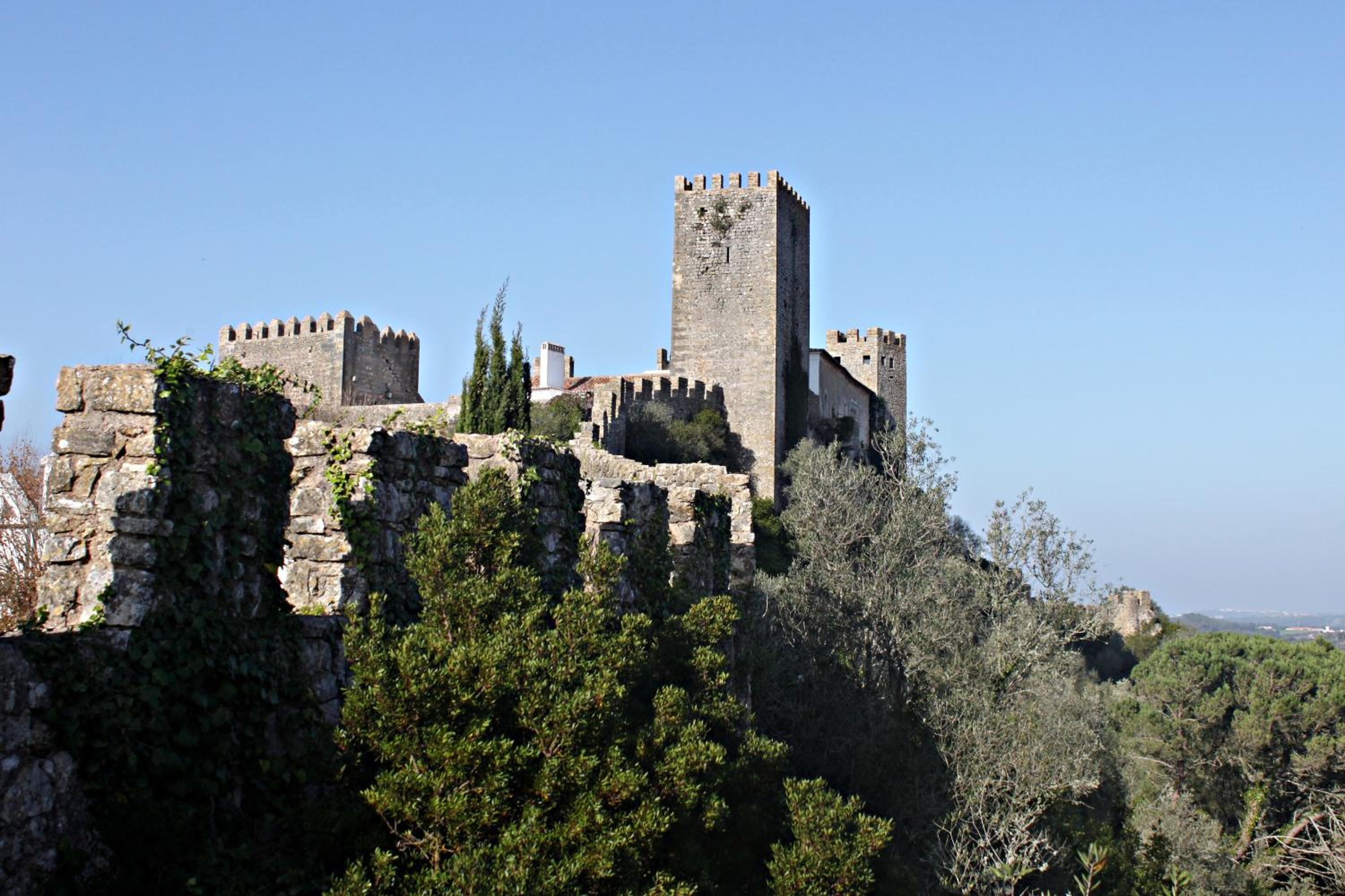 Photo 20