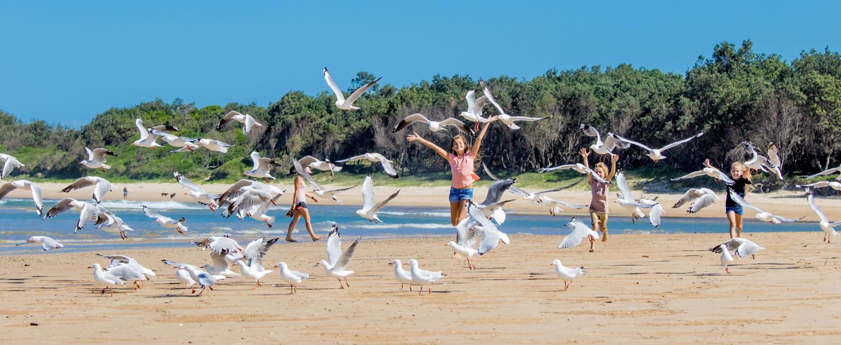 BIG4 Park Beach Holiday Park