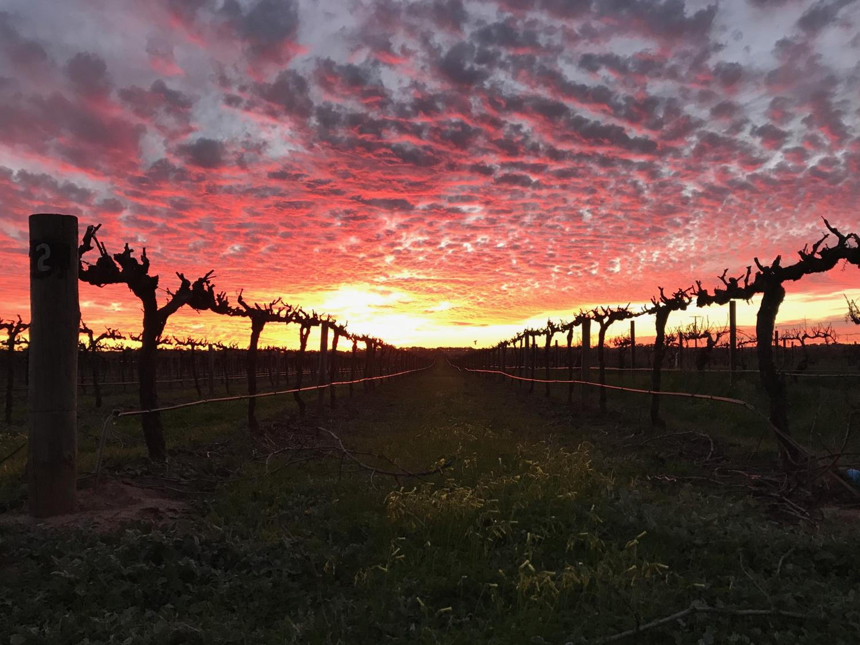 Barossa House