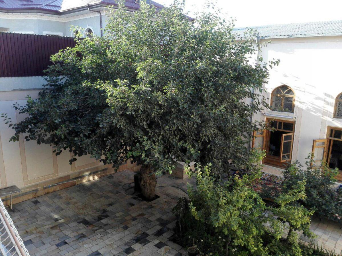 Hotel Mosque Baland