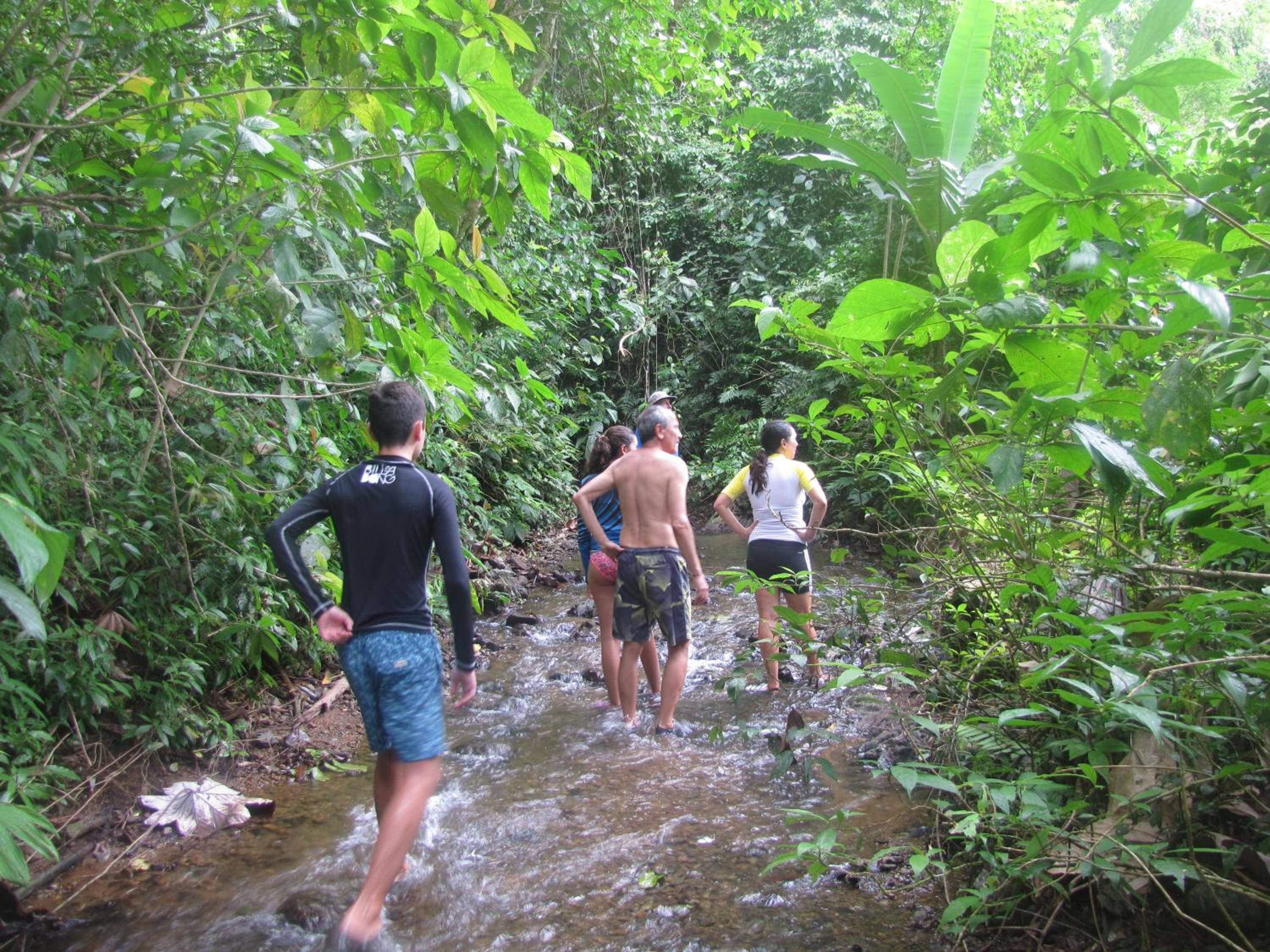 Ecolodge el Arca Bahia Solano