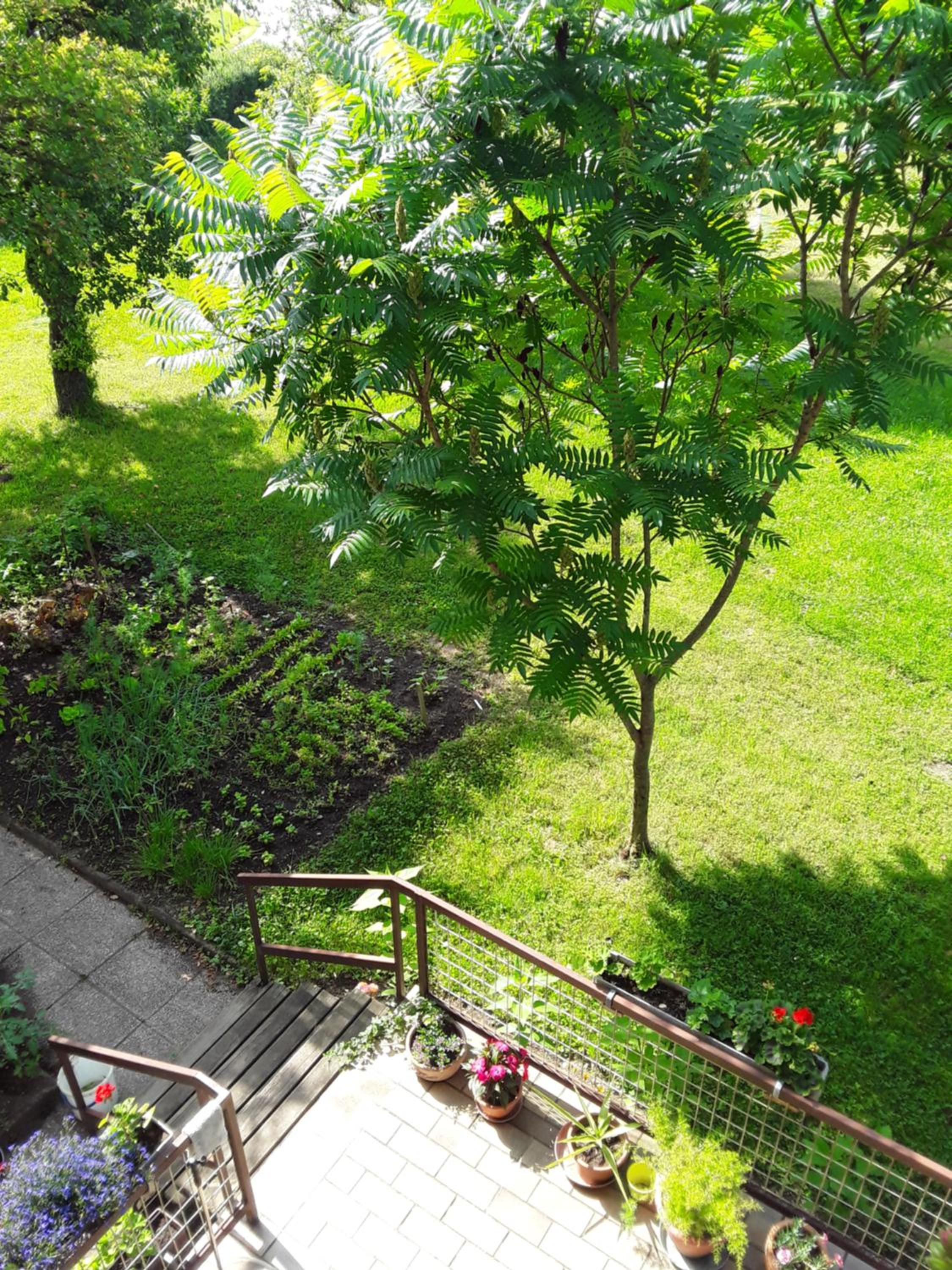 Gästehaus Kuchernig view 3