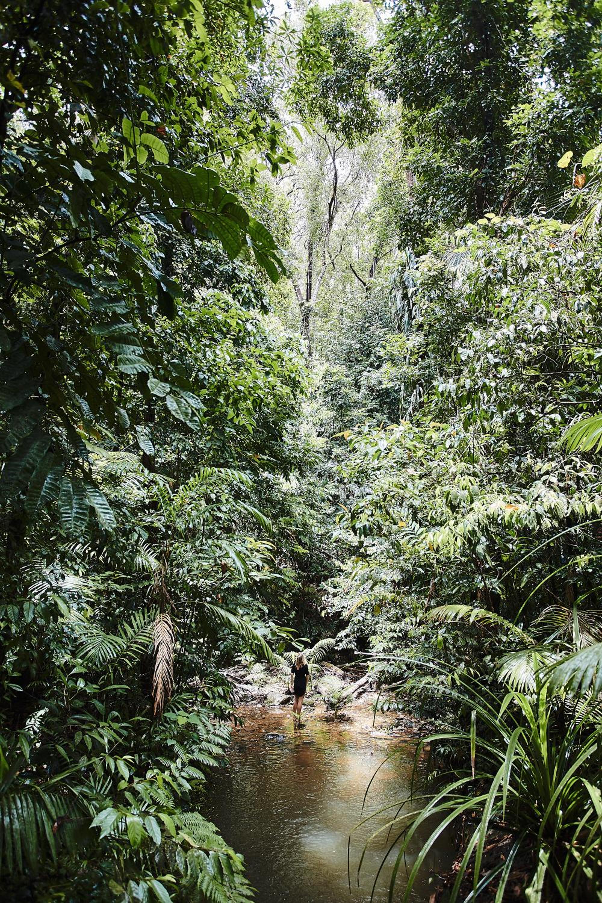 Photo 25