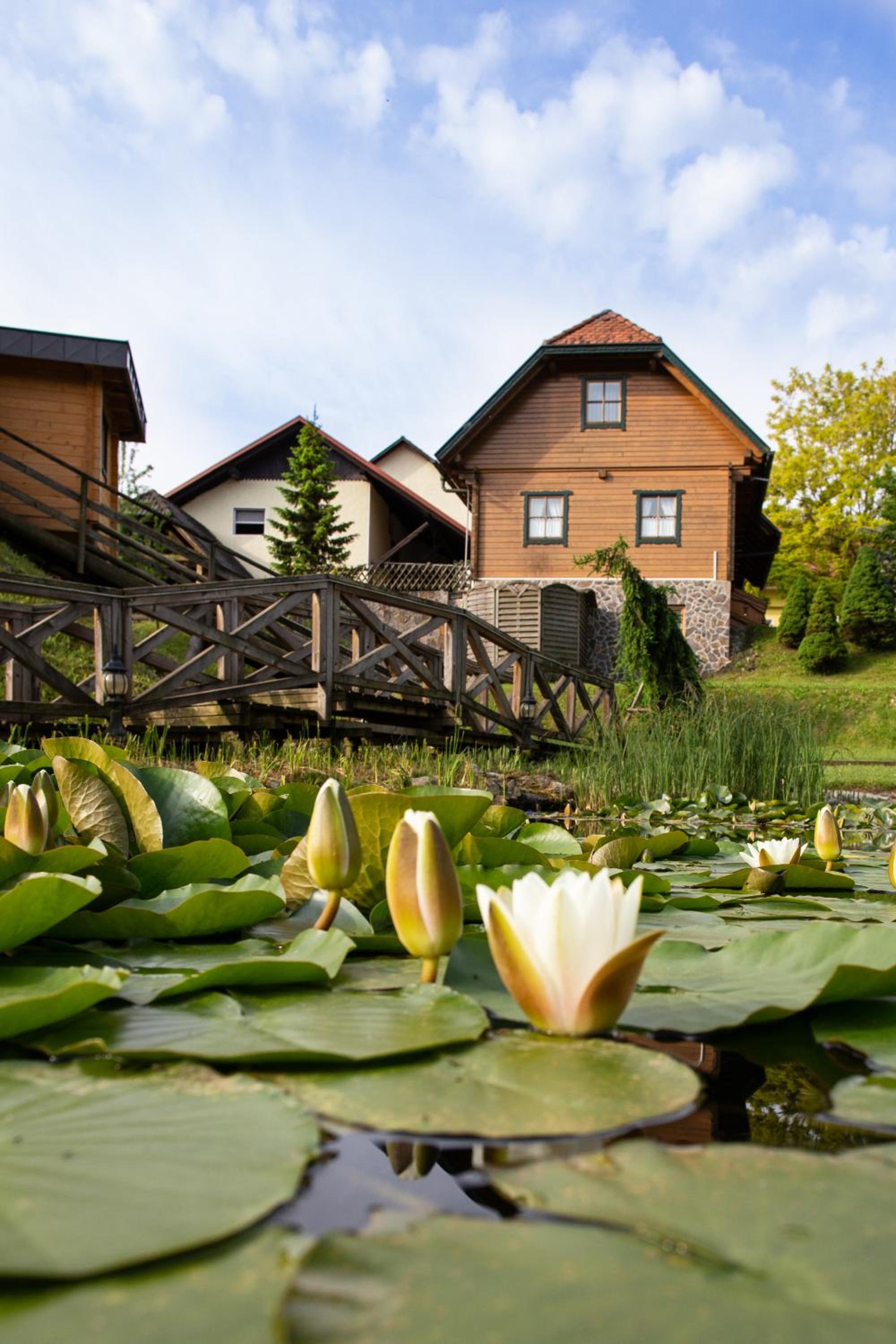 Korošec Apartments and Wellness Centre, photo 69