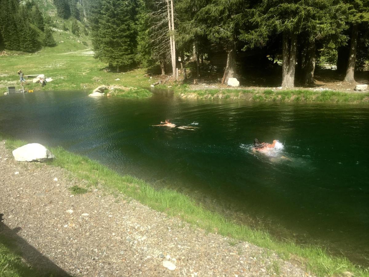 Photo 45