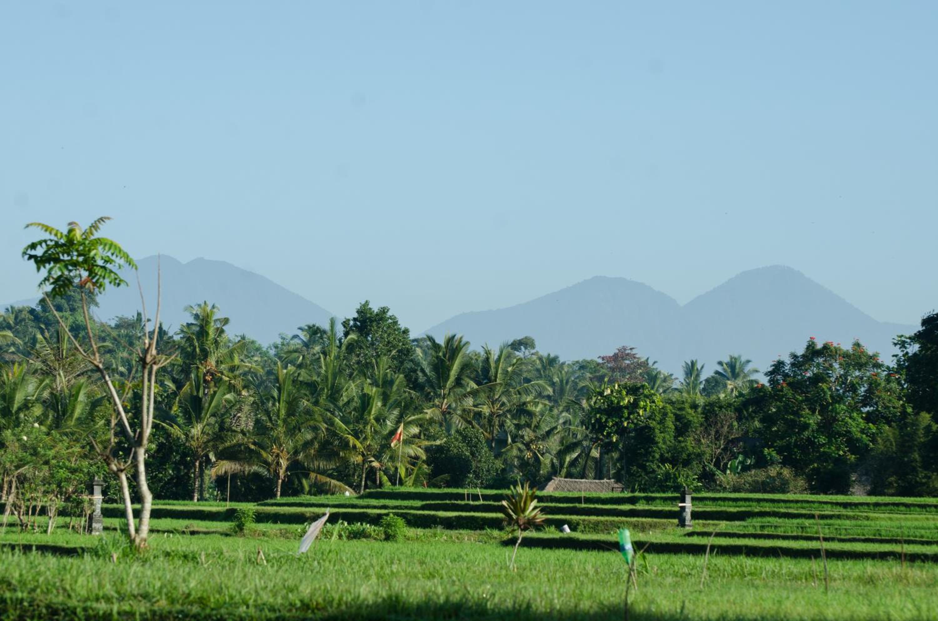 Cenik Villa Ubud