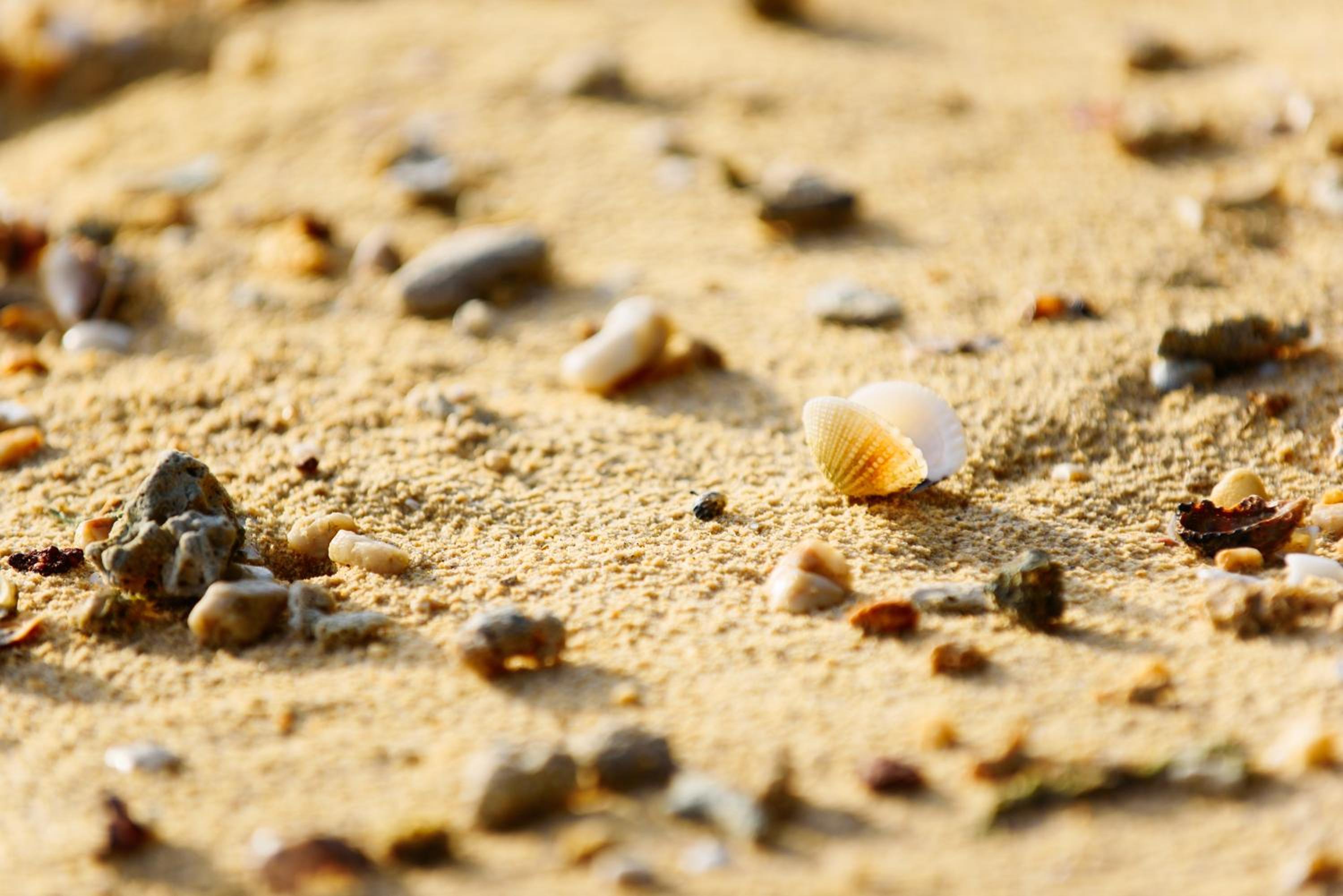 Phayamas Private Beach Resort and Island Brew - Adults Only
