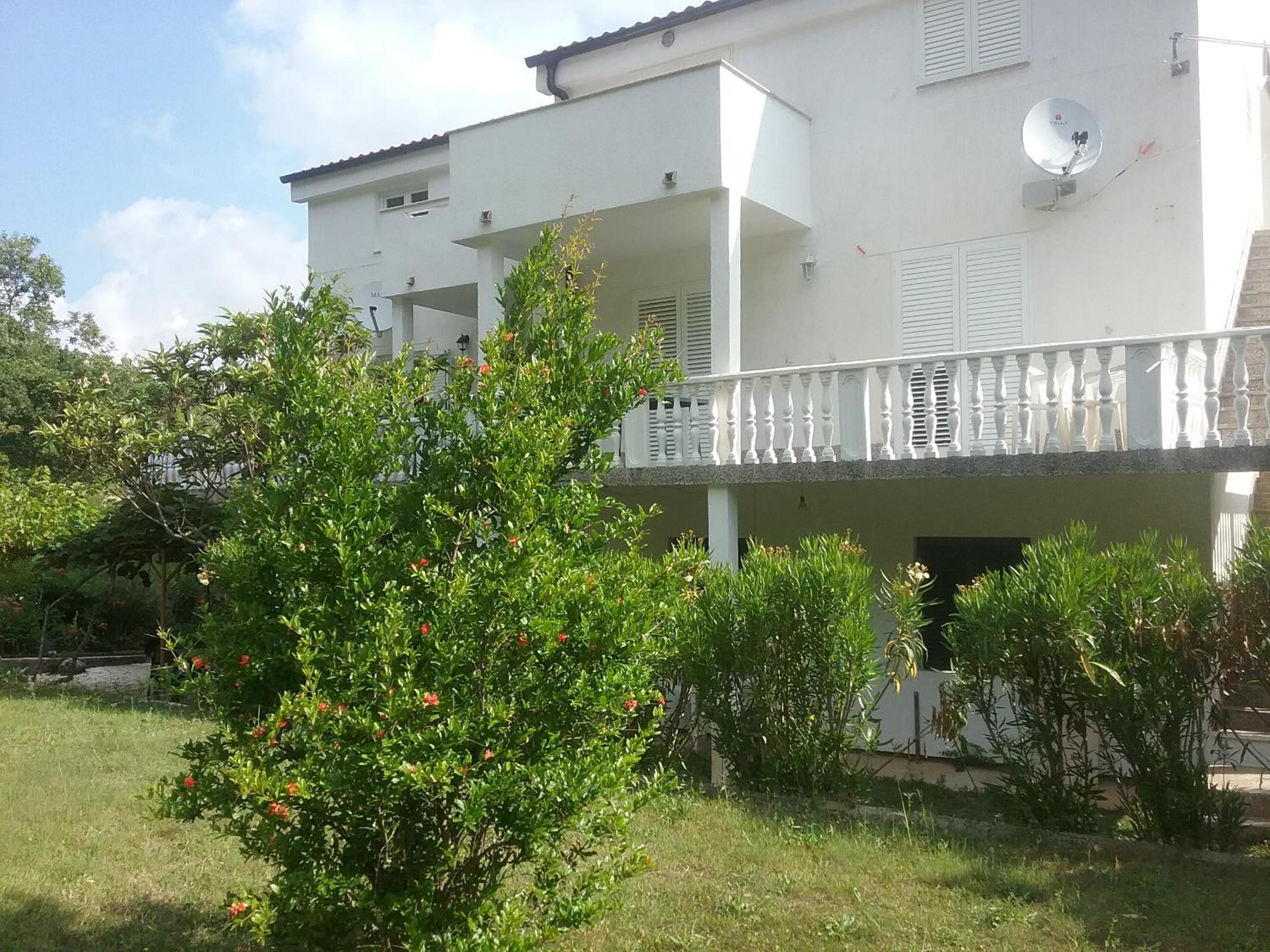 Photo 42