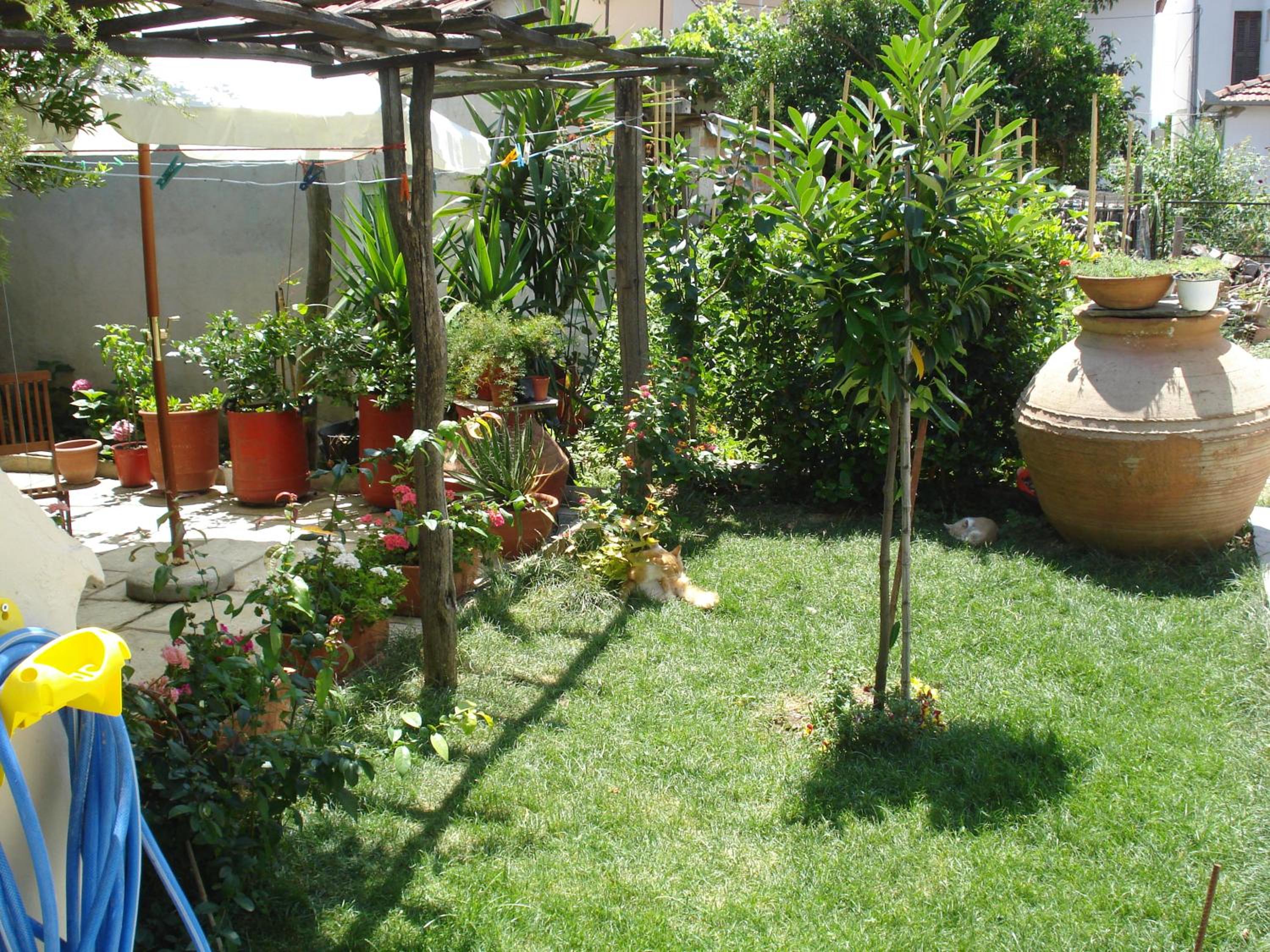 Photo 12