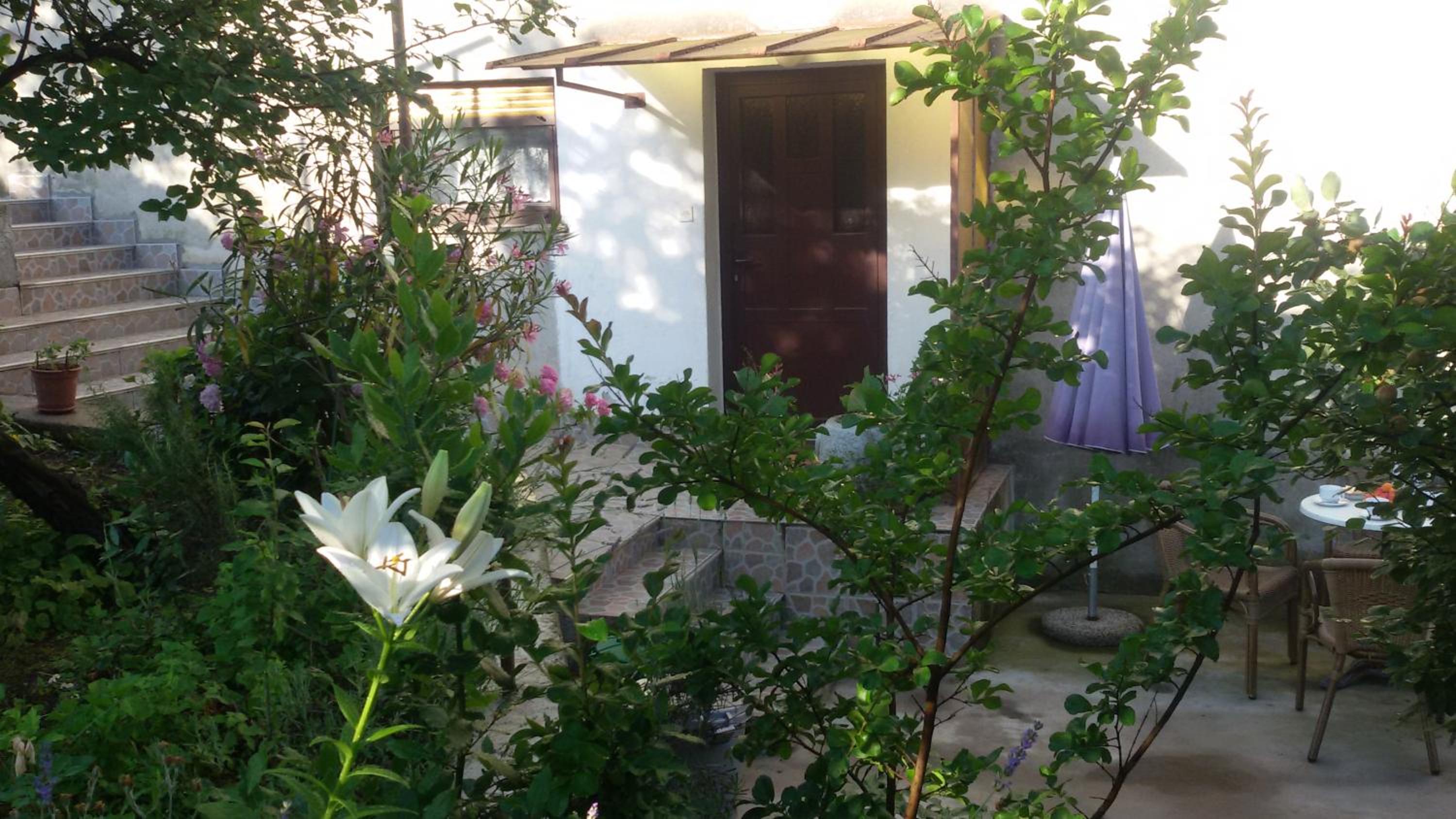 Photo 6