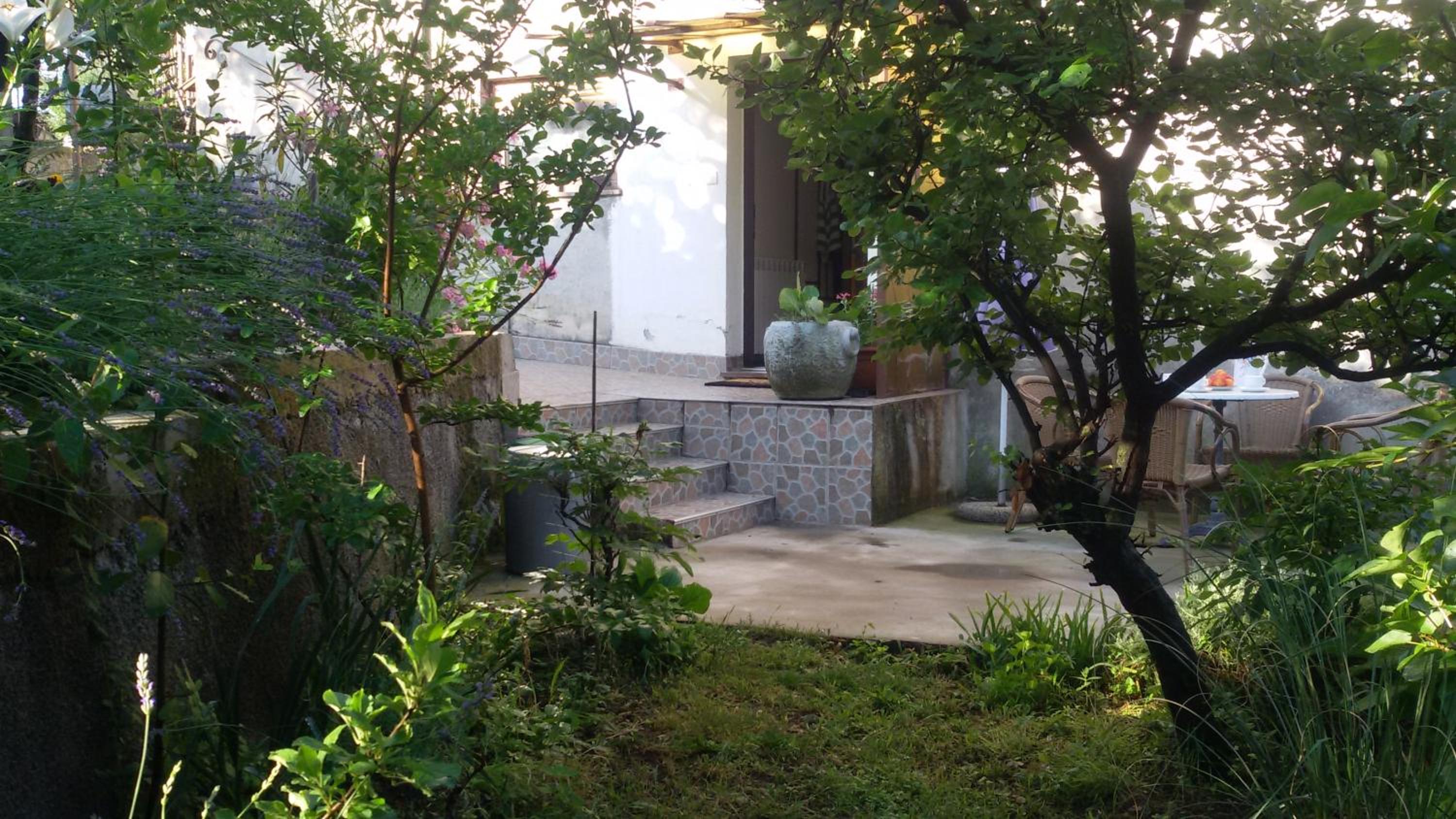 Apartman Milada Vrvilo view 5