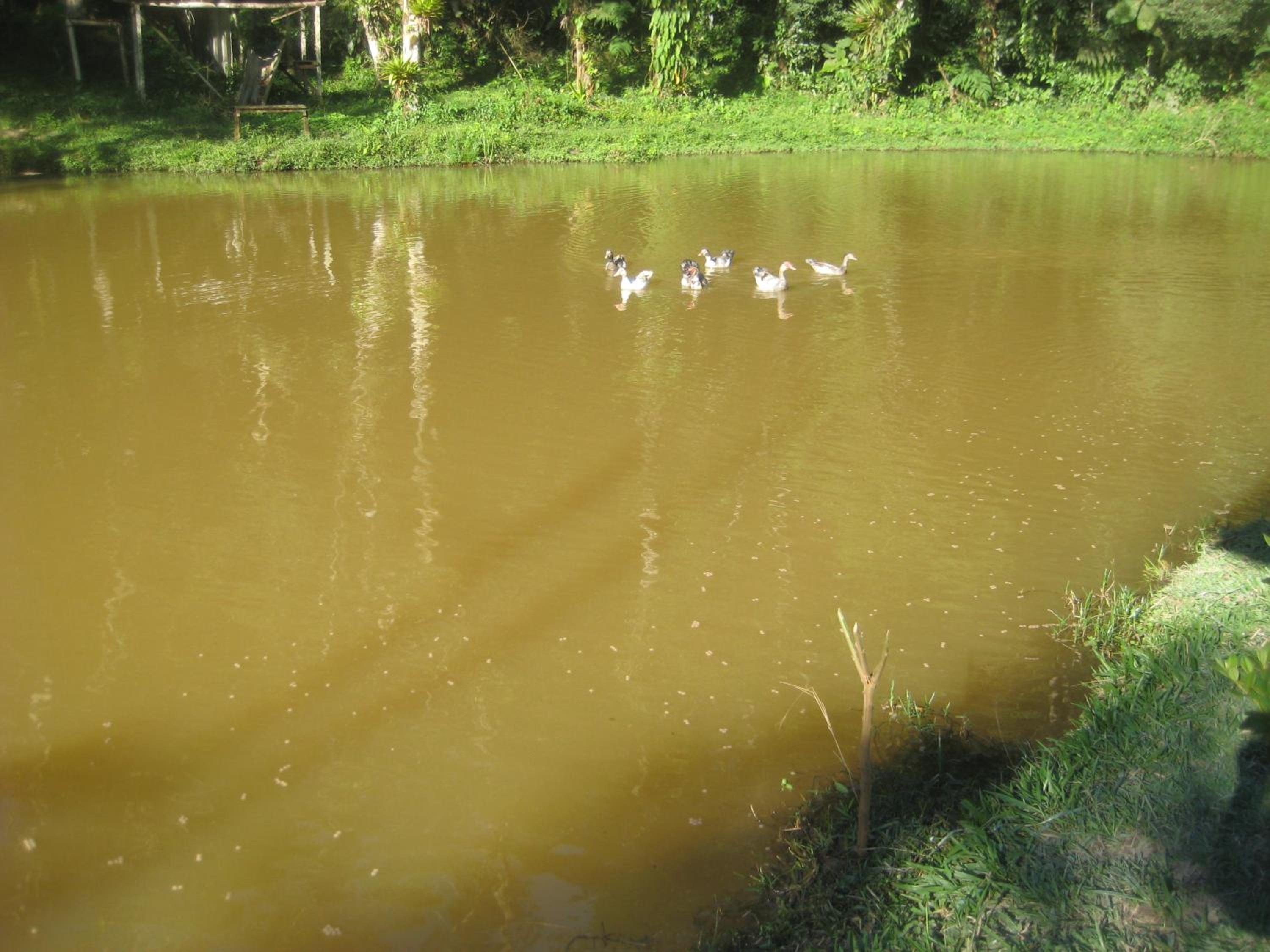Photo 42