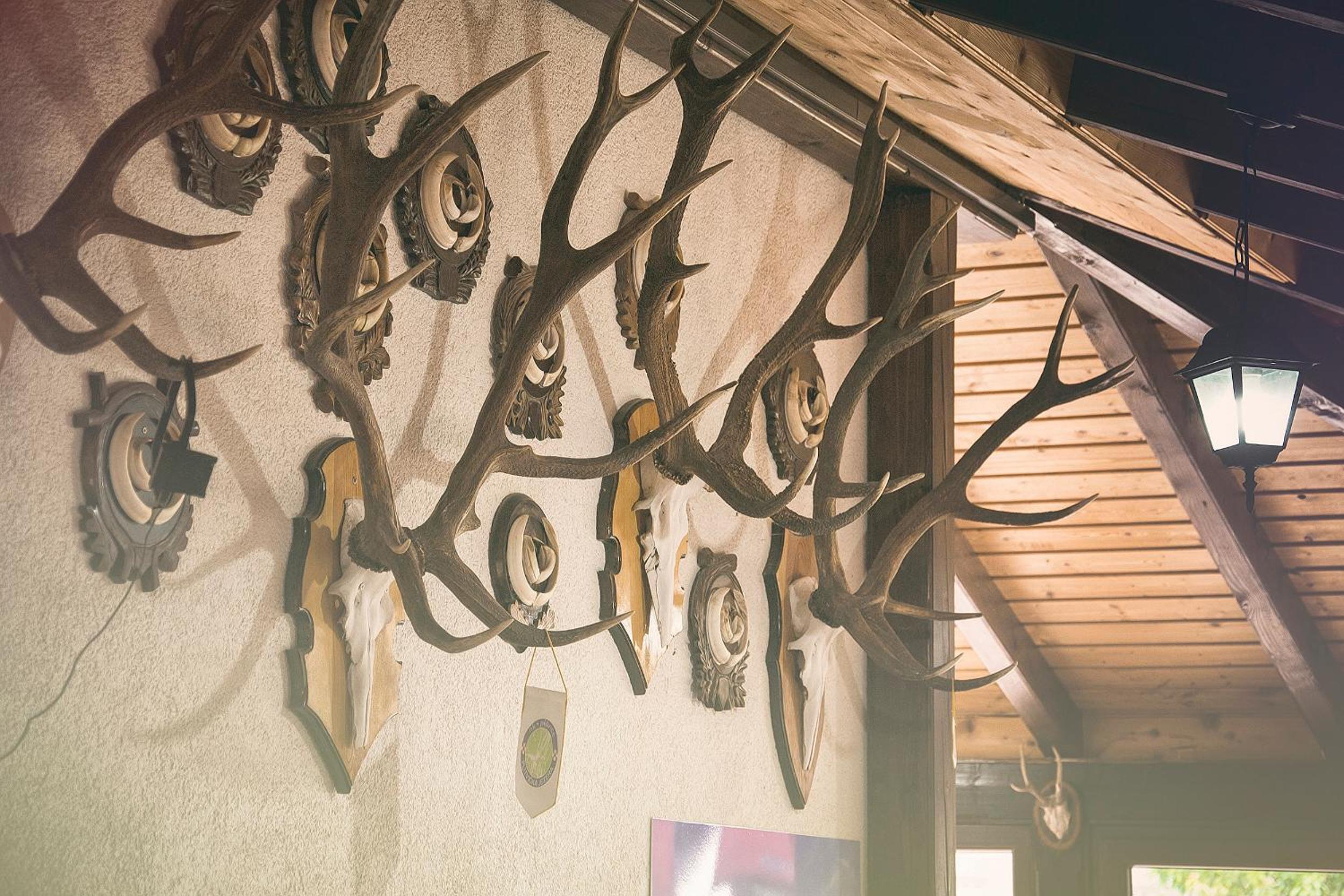Guest House Spoljaric Sasa