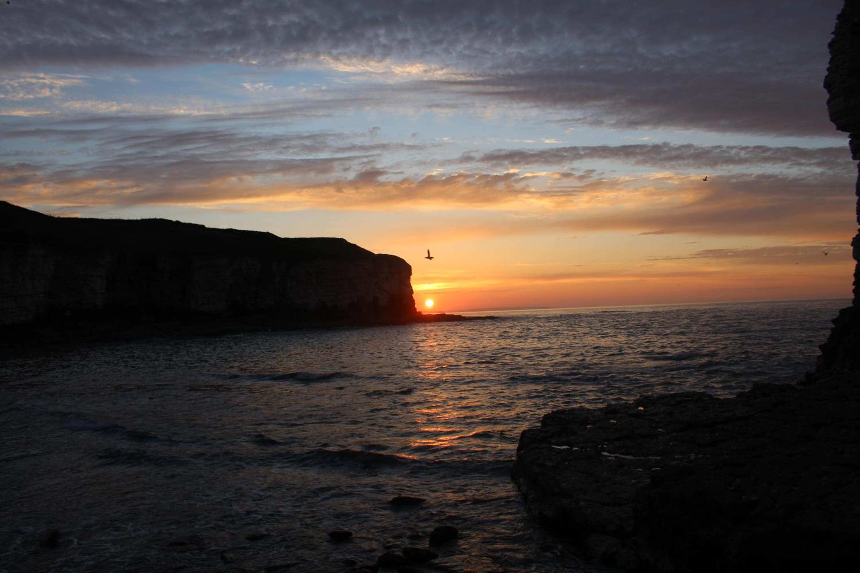 Shearwater, photo 40