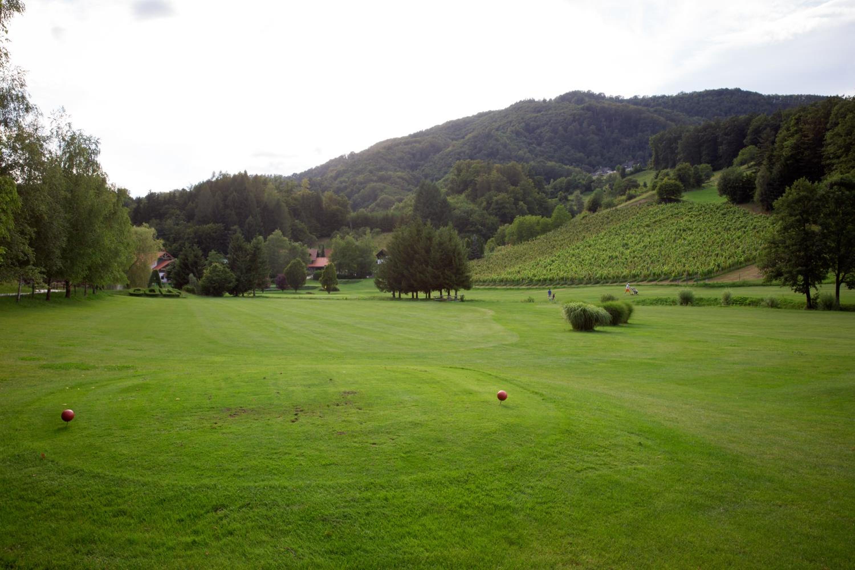 Photo 52
