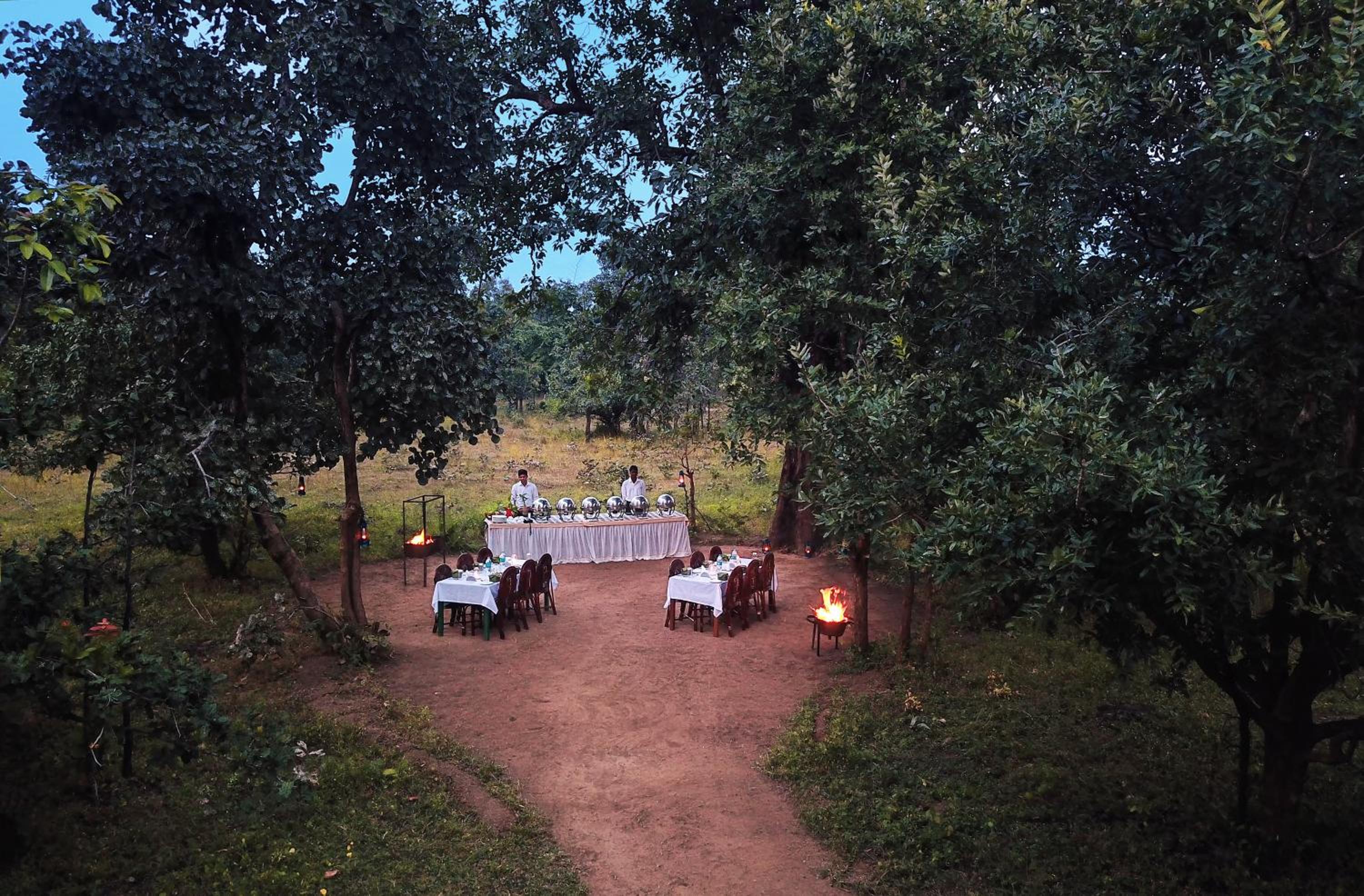 Pench Jungle Camp